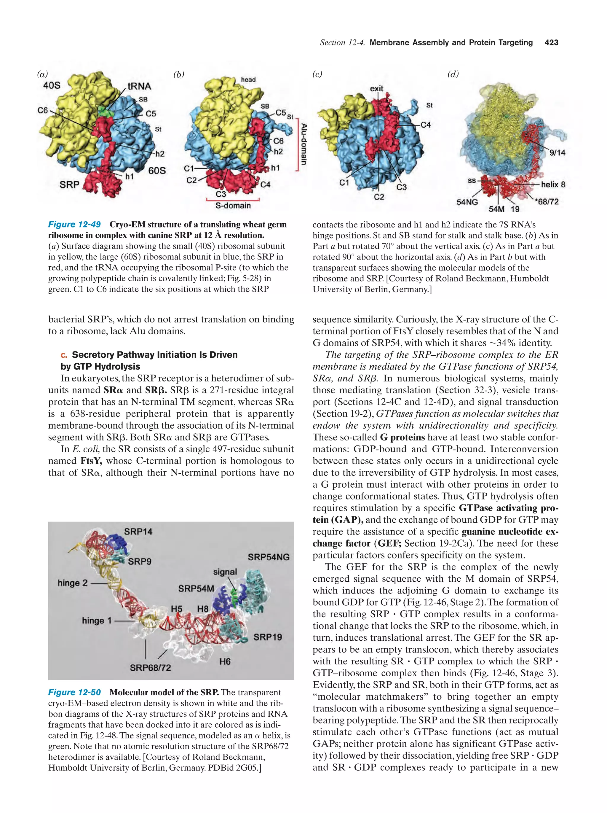 Biochemistry.4th.edition