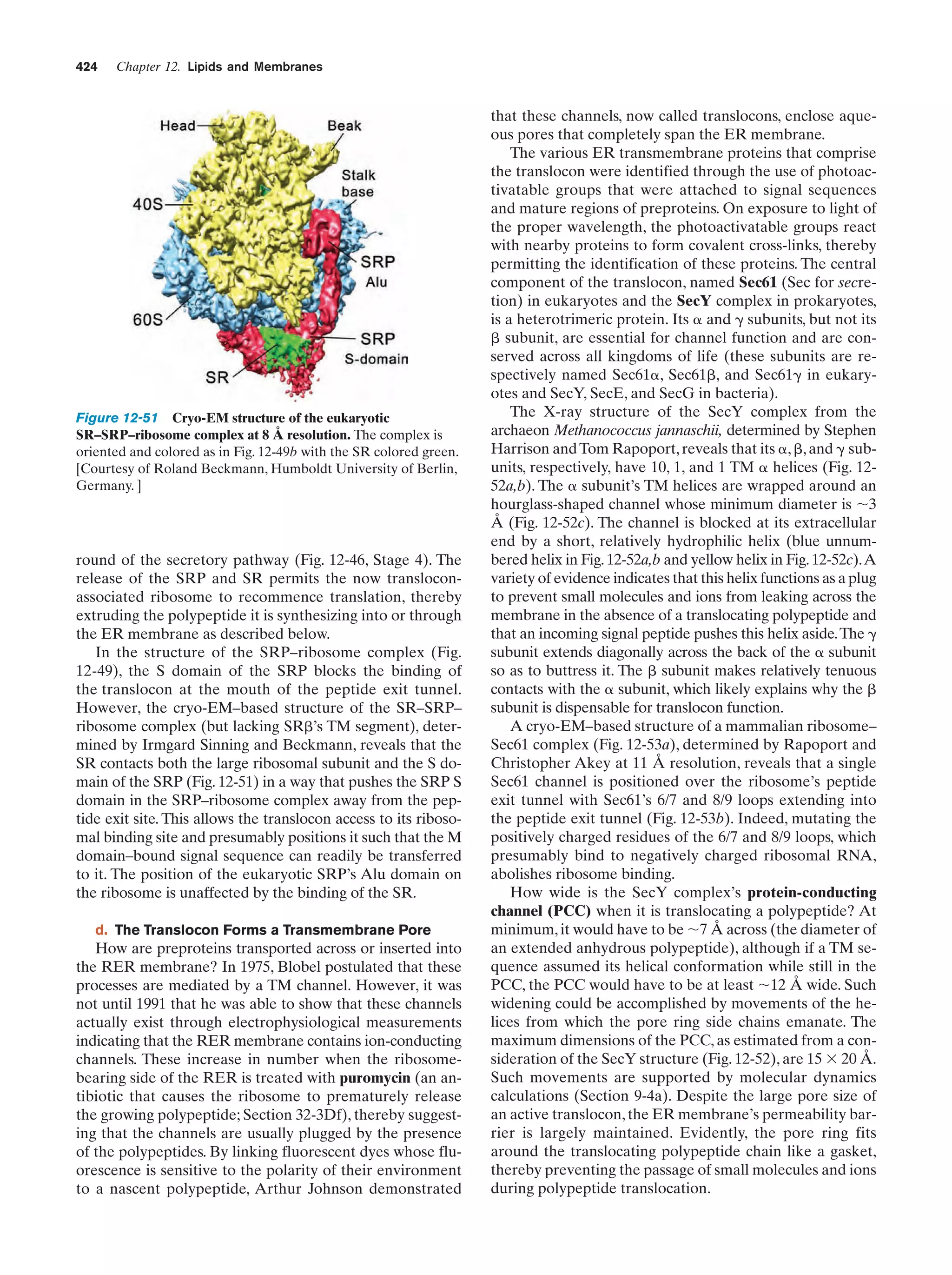 Biochemistry.4th.edition