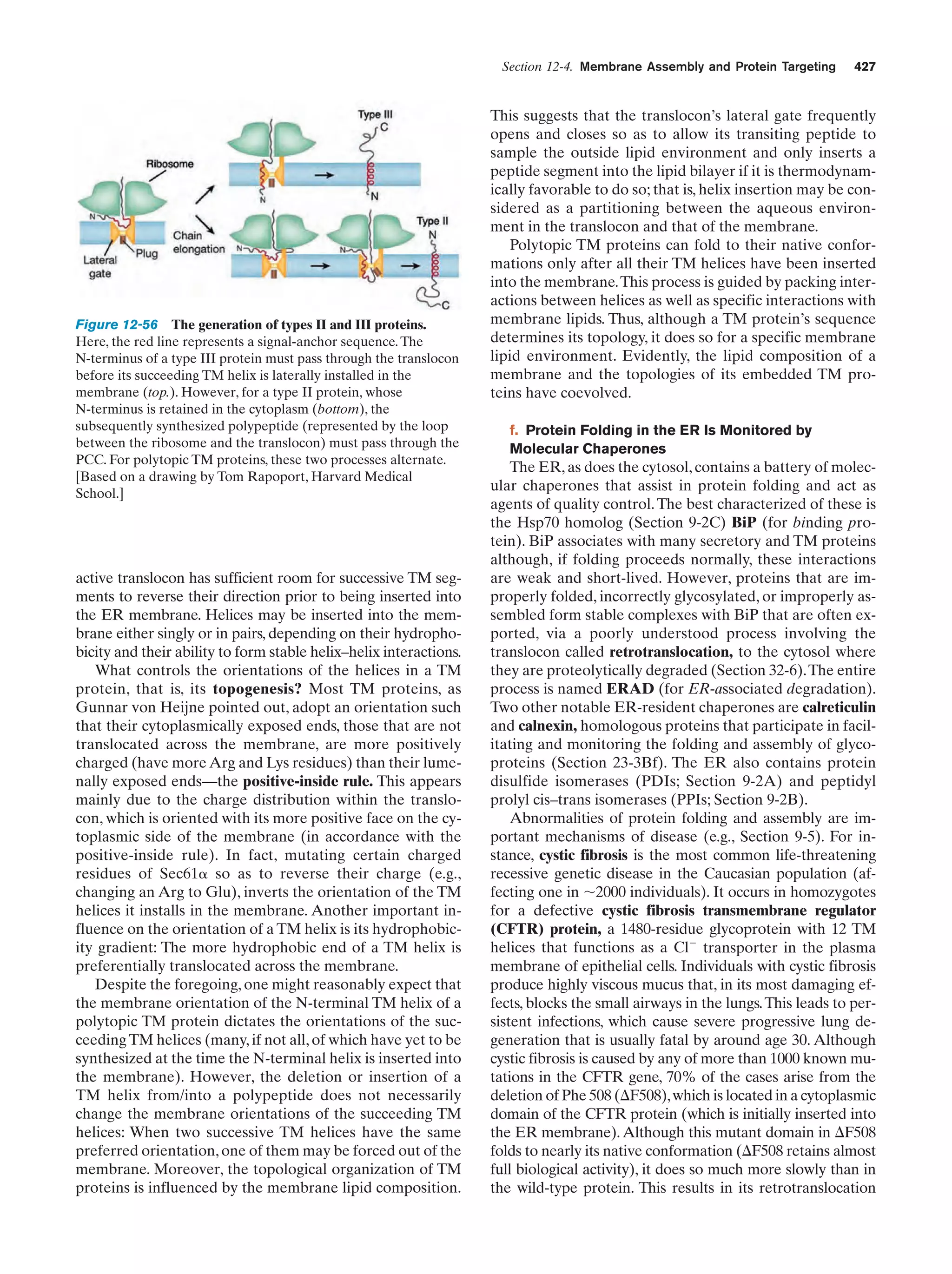 Biochemistry.4th.edition