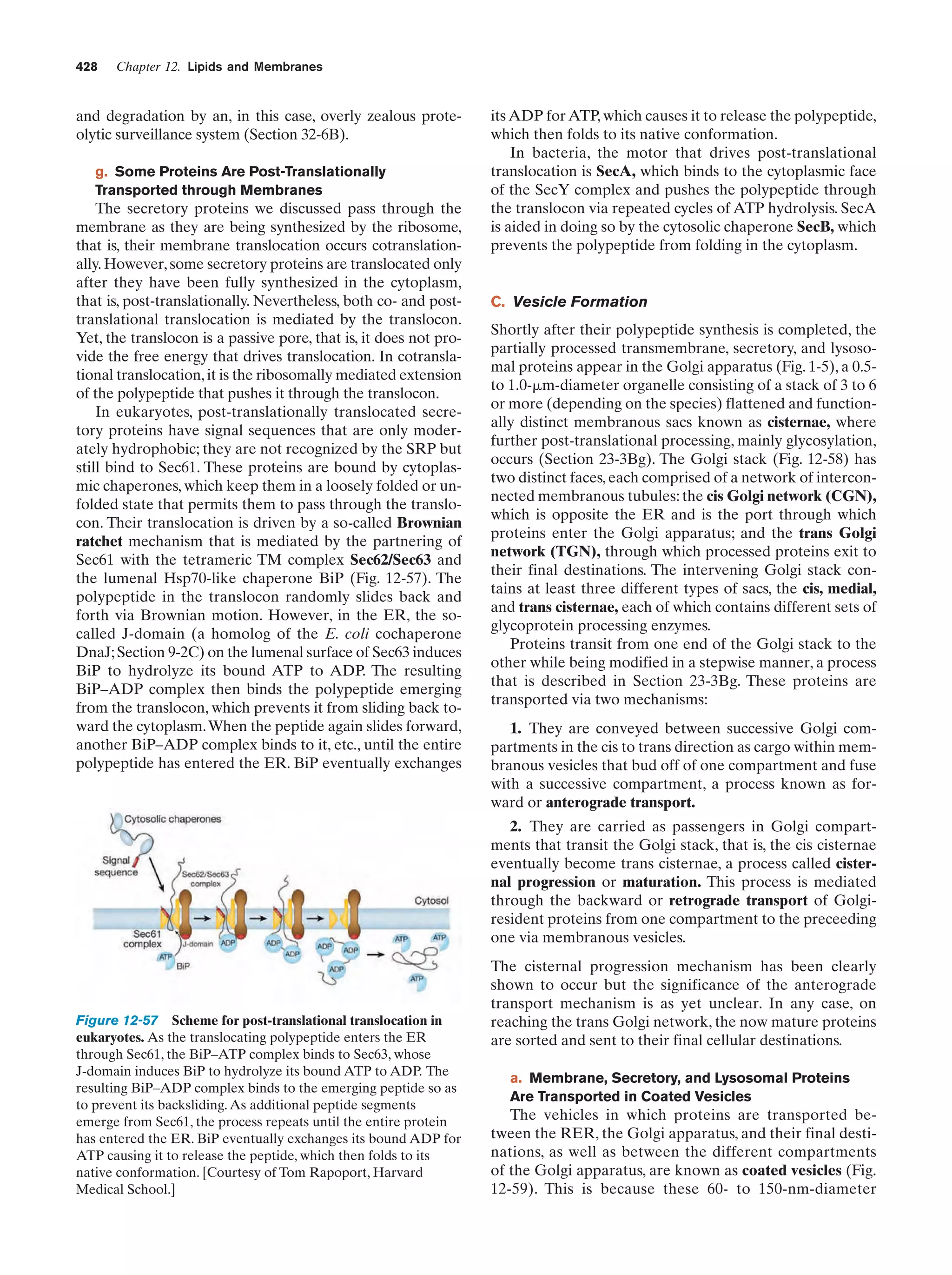 Biochemistry.4th.edition
