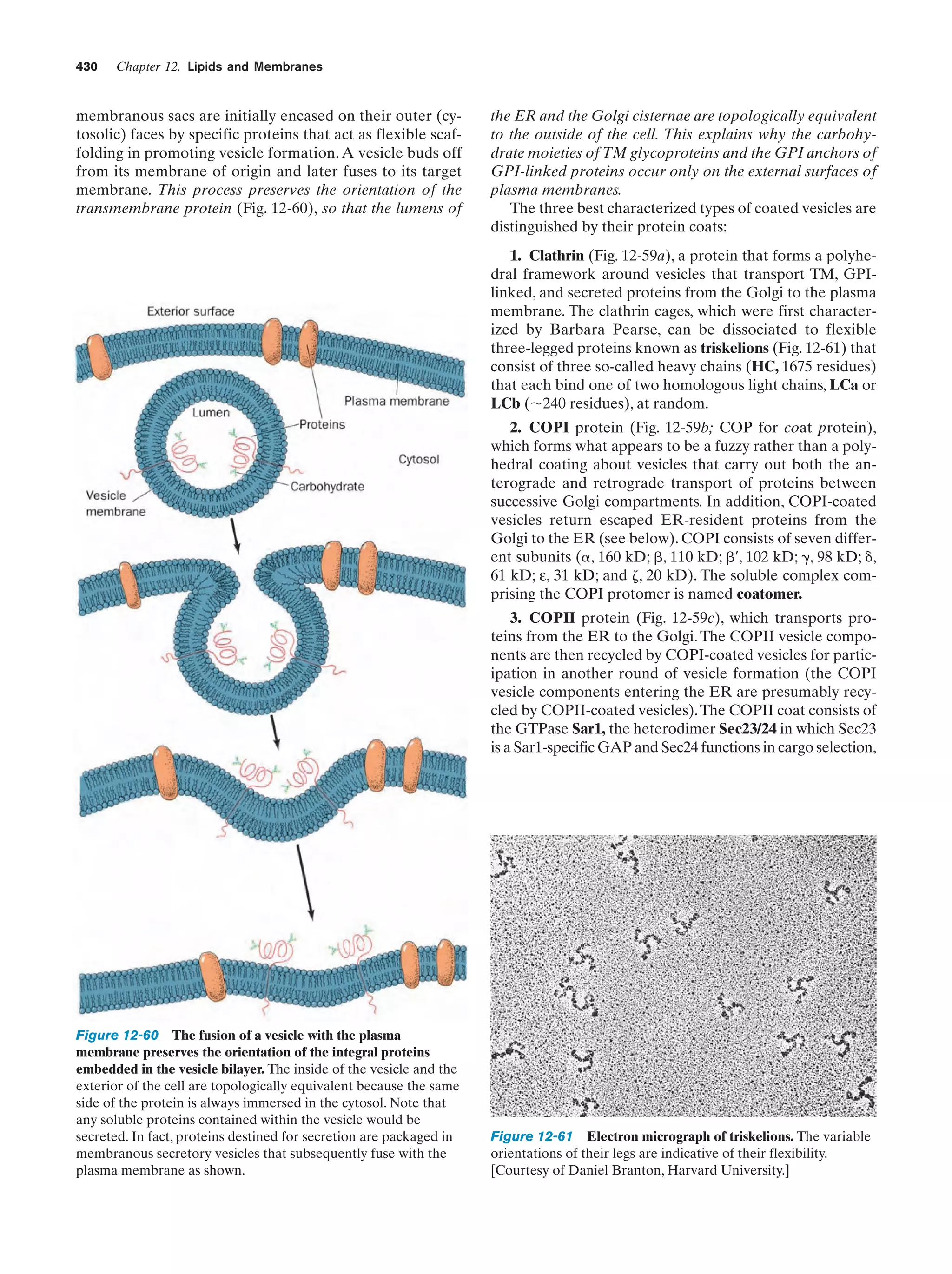 Biochemistry.4th.edition