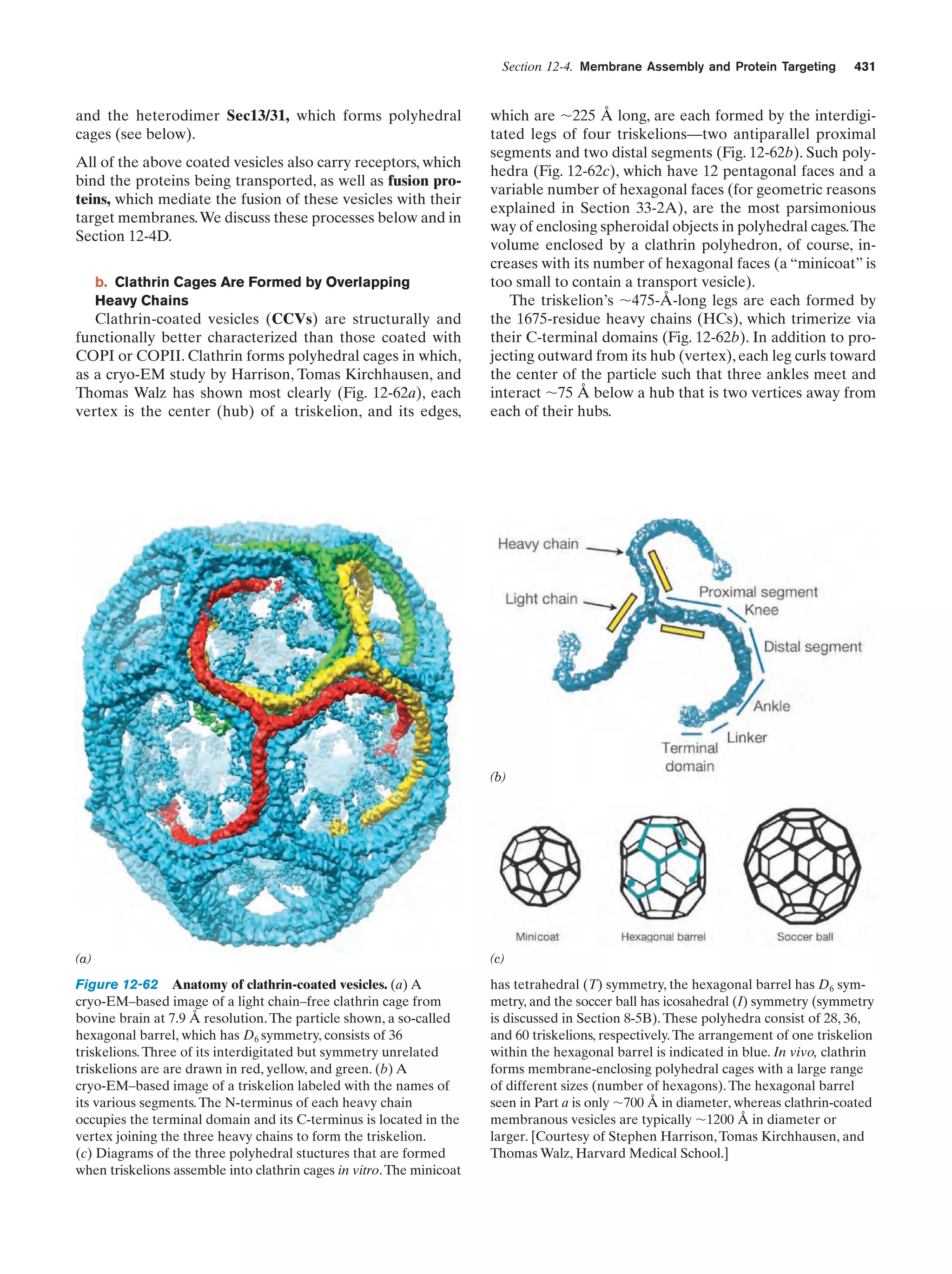 Biochemistry.4th.edition
