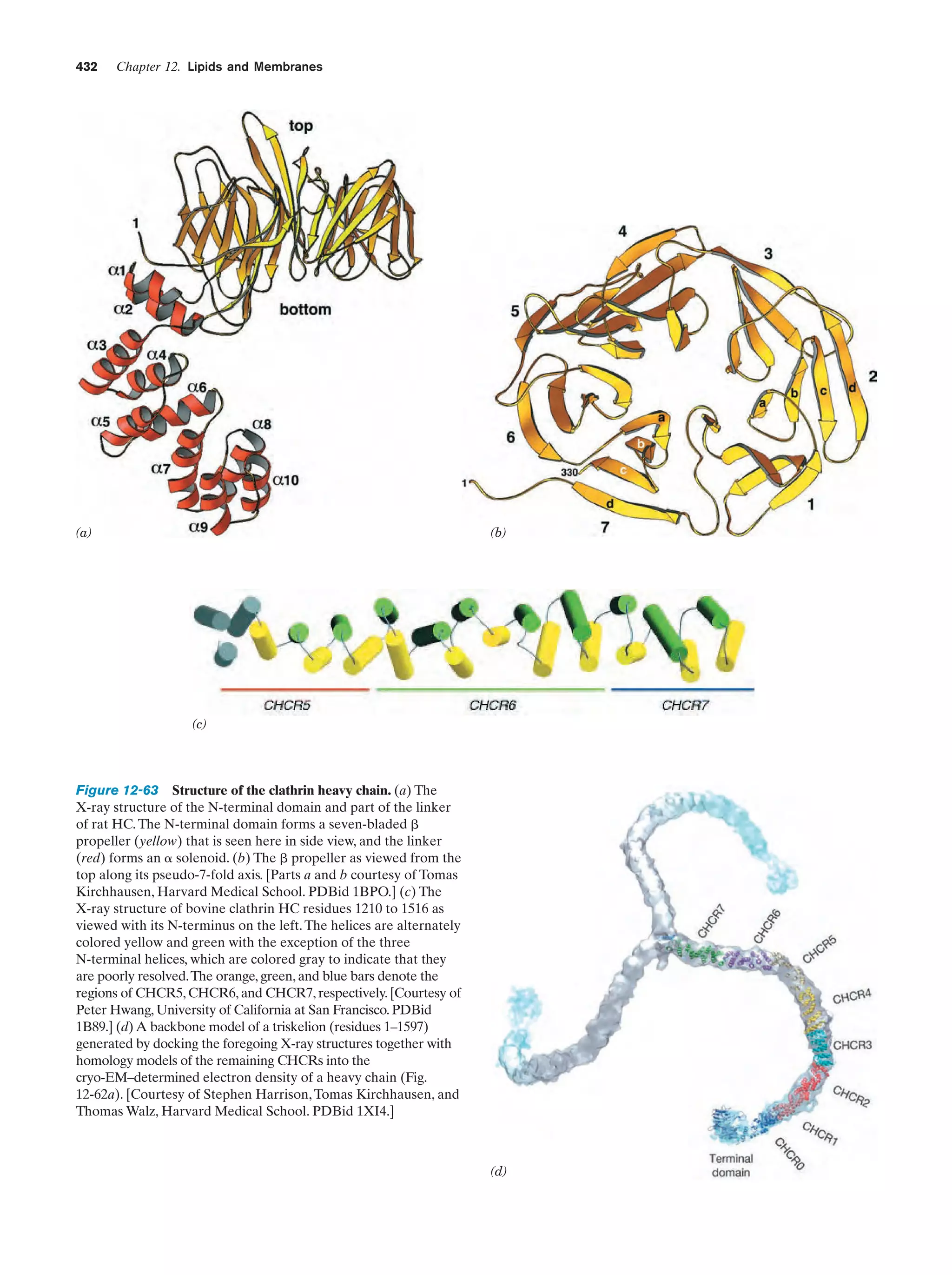 Biochemistry.4th.edition