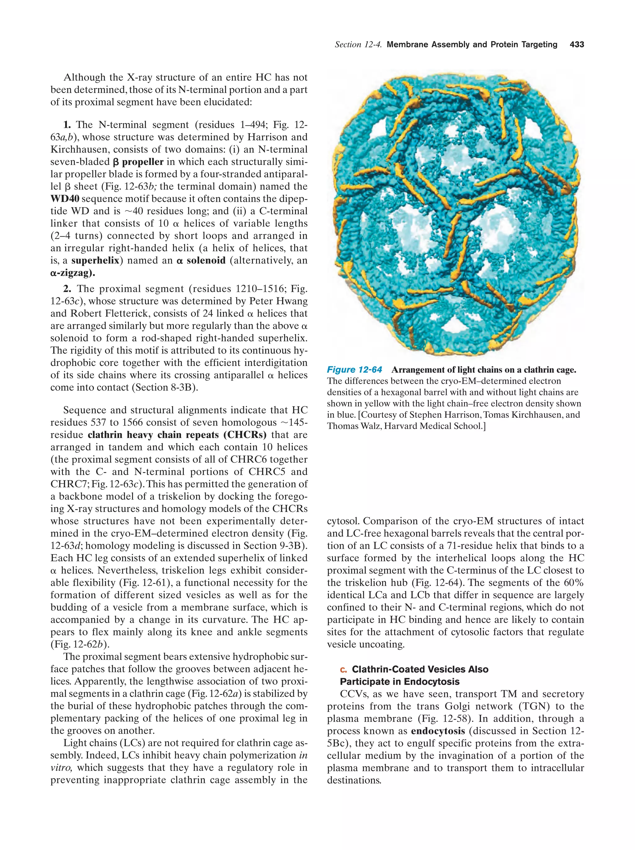 Biochemistry.4th.edition