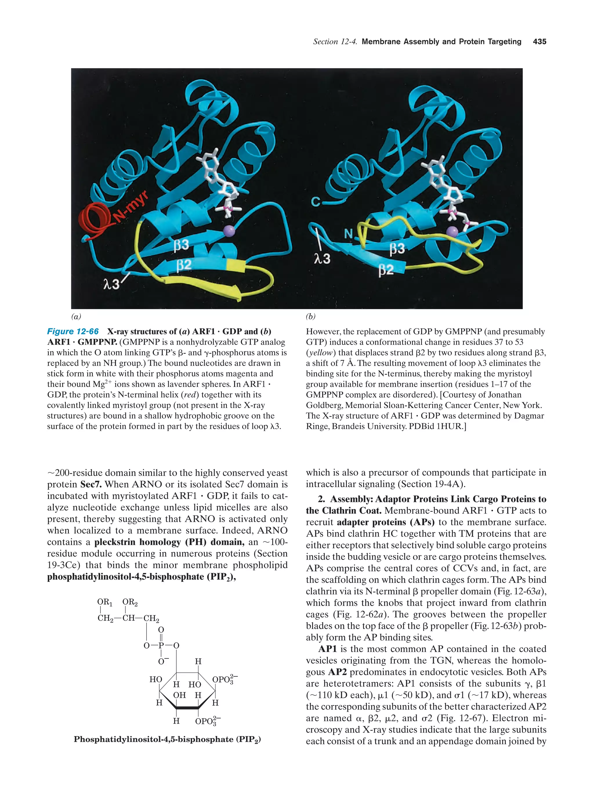 Biochemistry.4th.edition