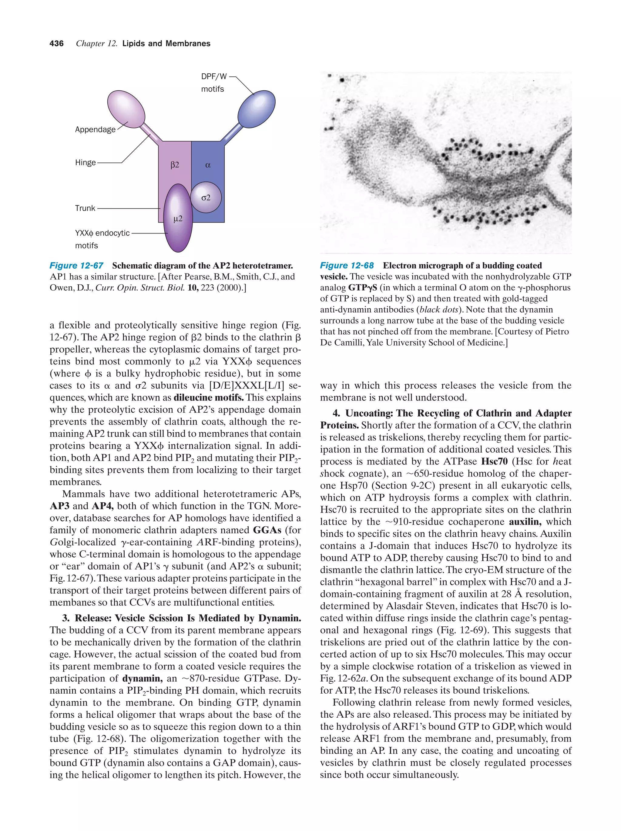 Biochemistry.4th.edition