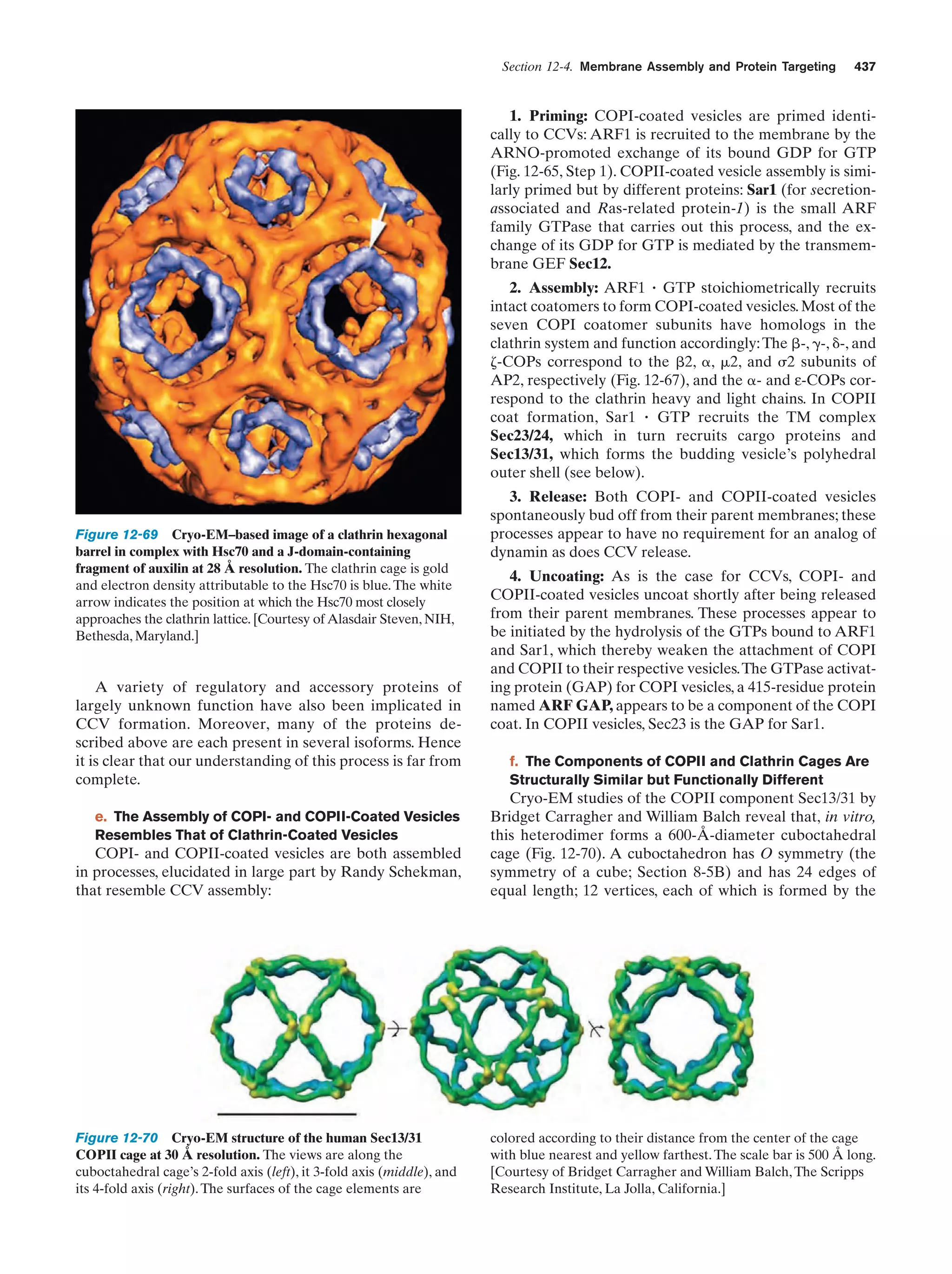 Biochemistry.4th.edition