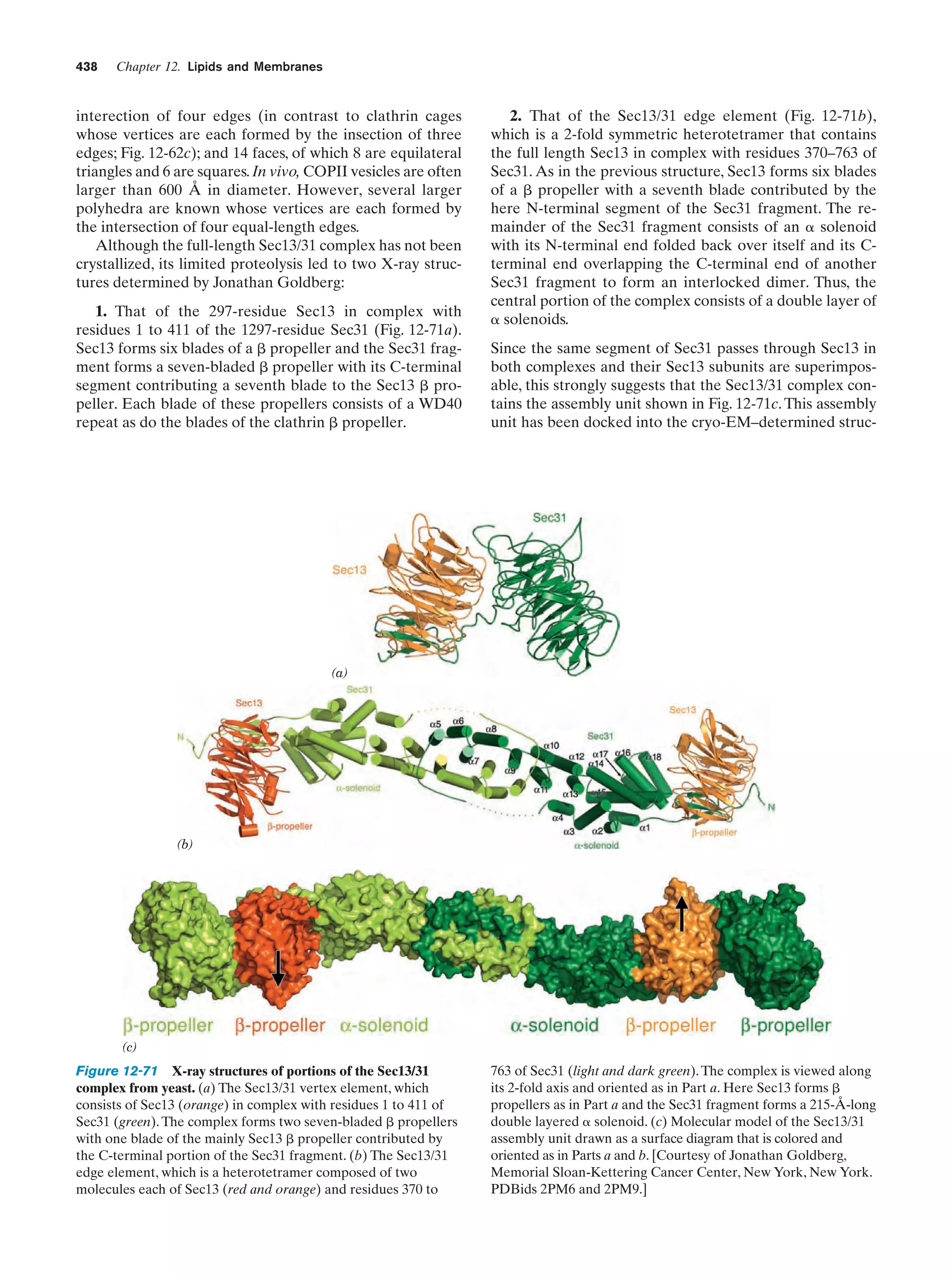 Biochemistry.4th.edition