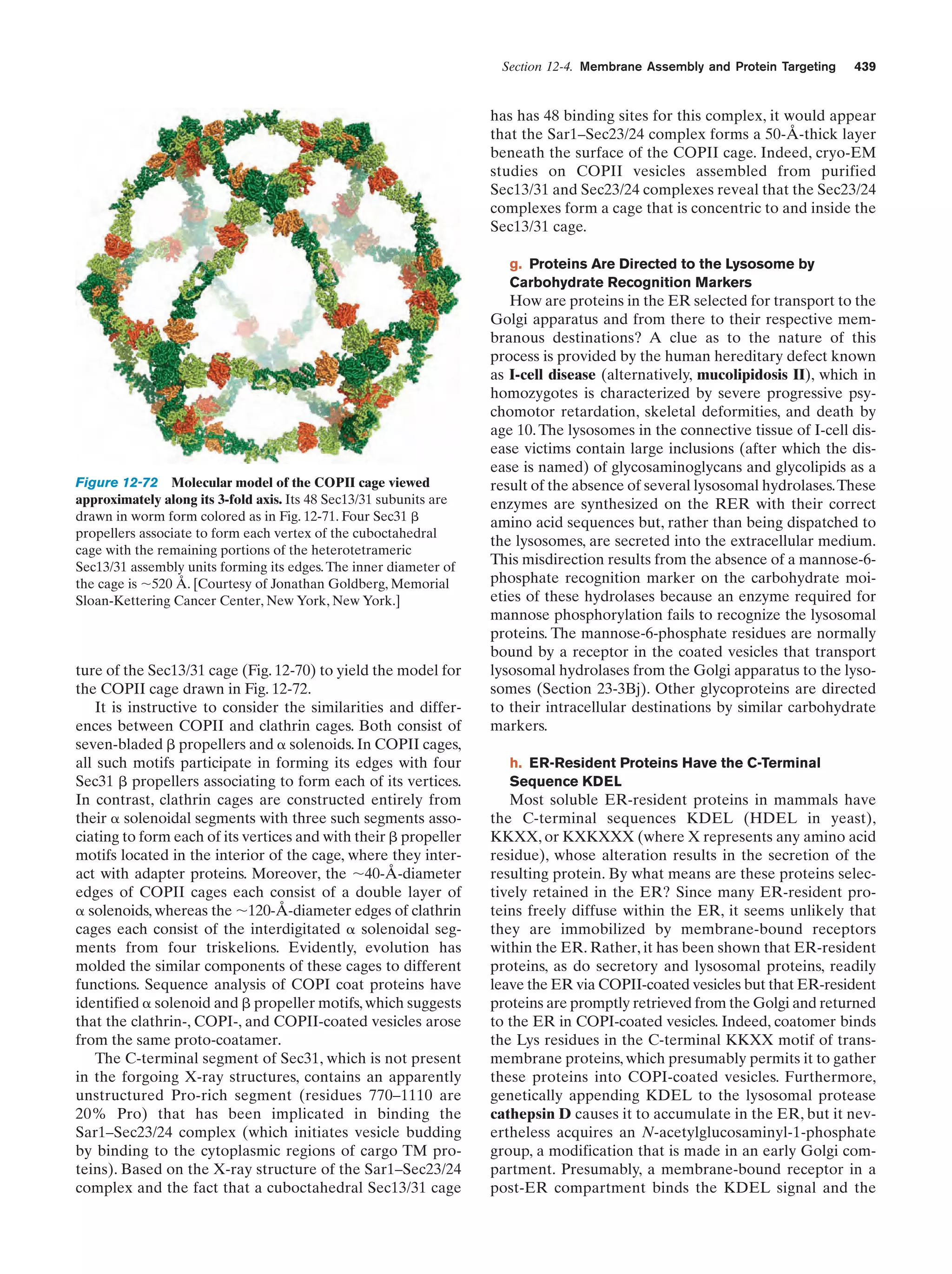 Biochemistry.4th.edition