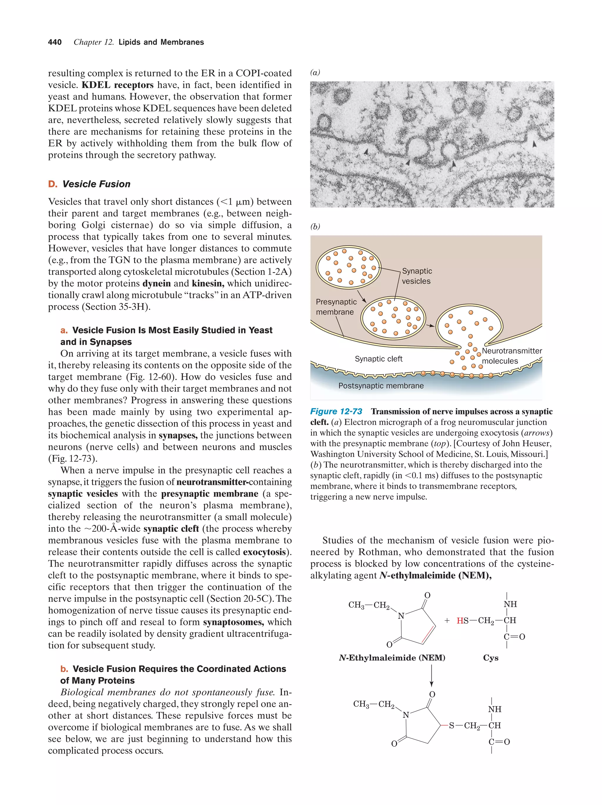 Biochemistry.4th.edition