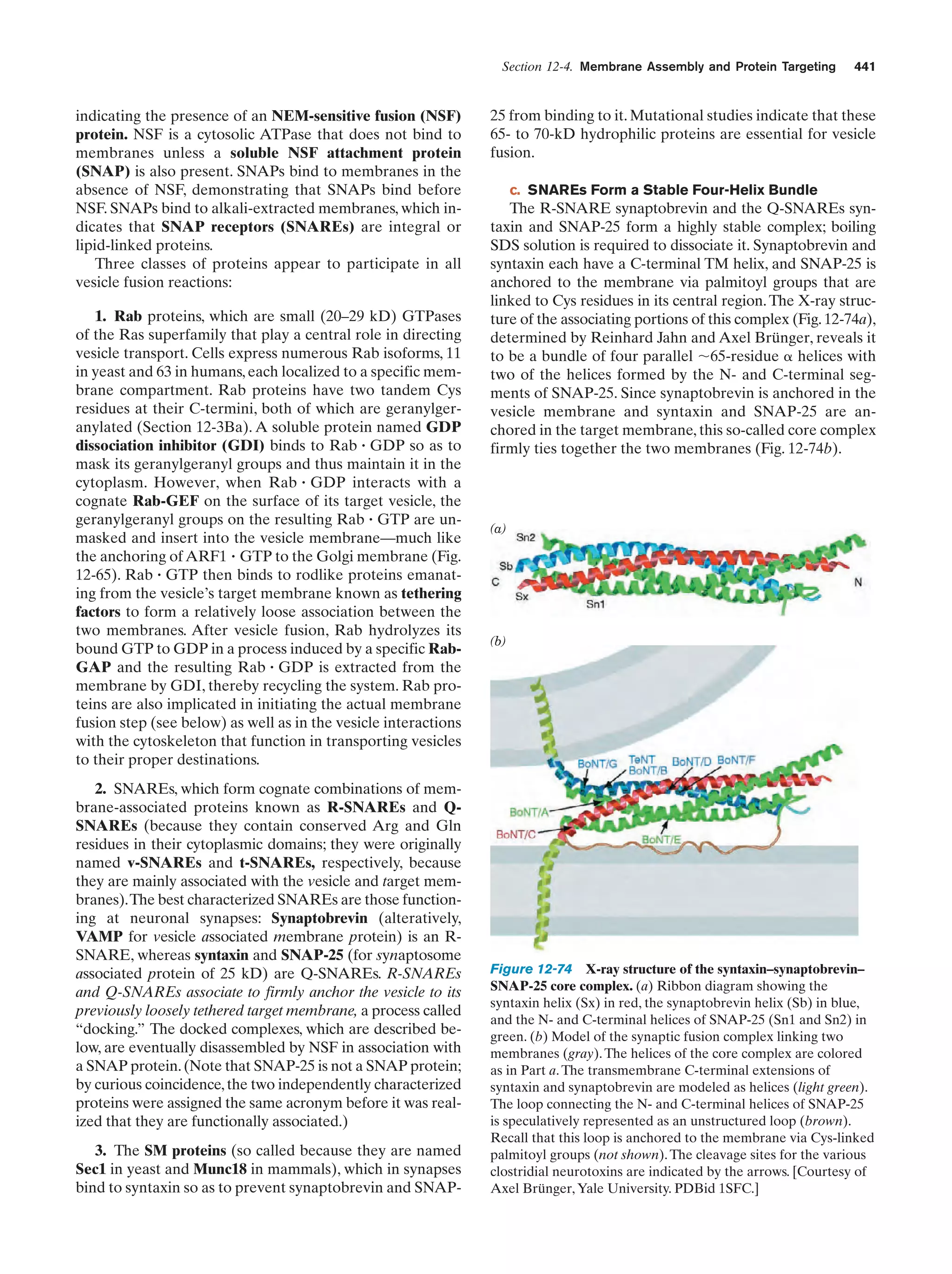 Biochemistry.4th.edition