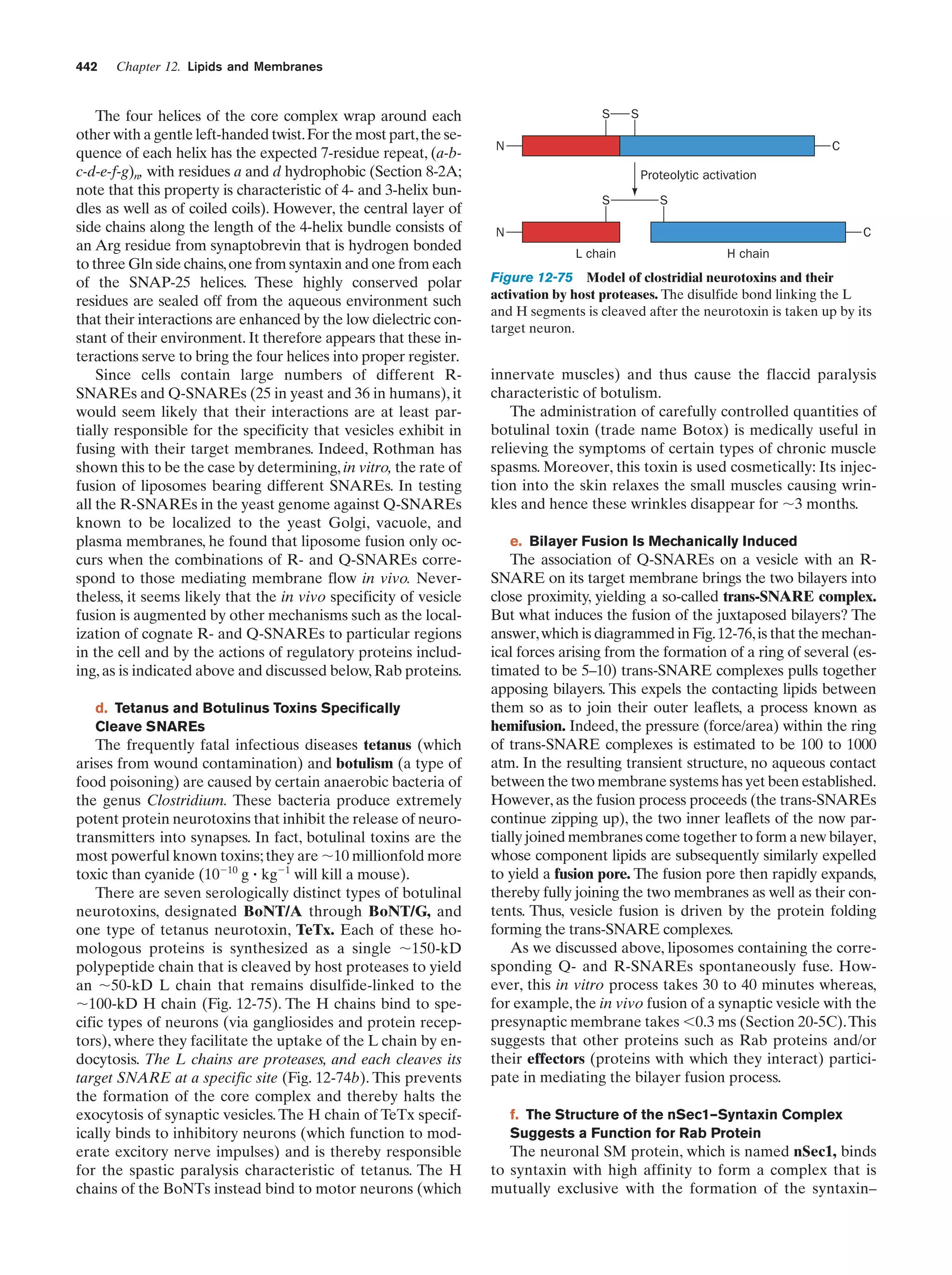Biochemistry.4th.edition