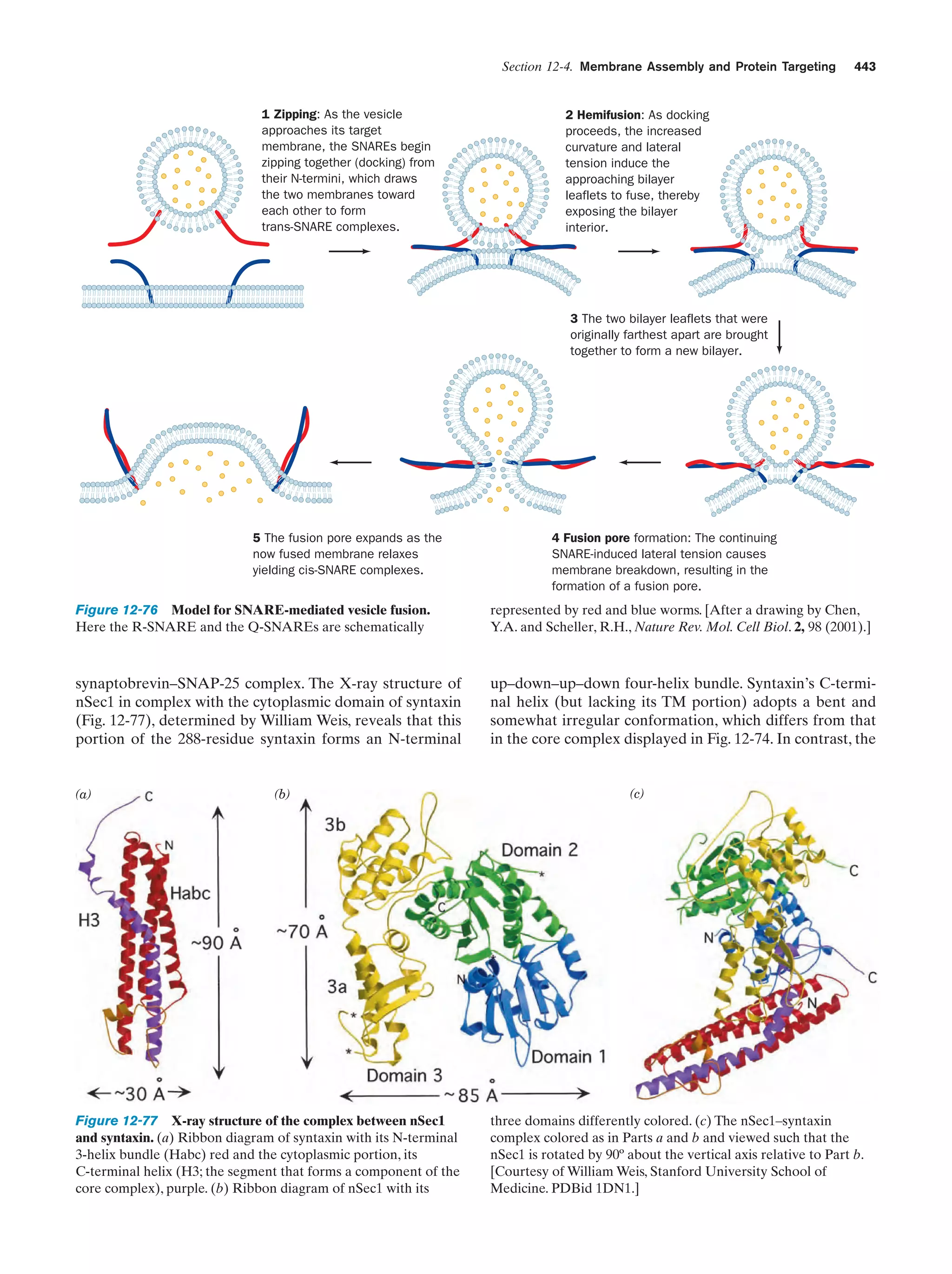 Biochemistry.4th.edition