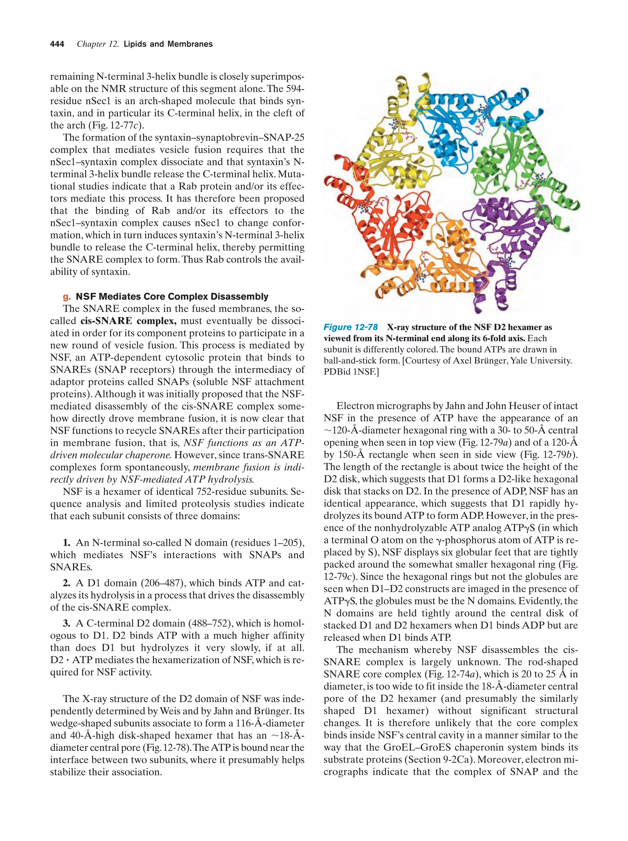 Biochemistry.4th.edition