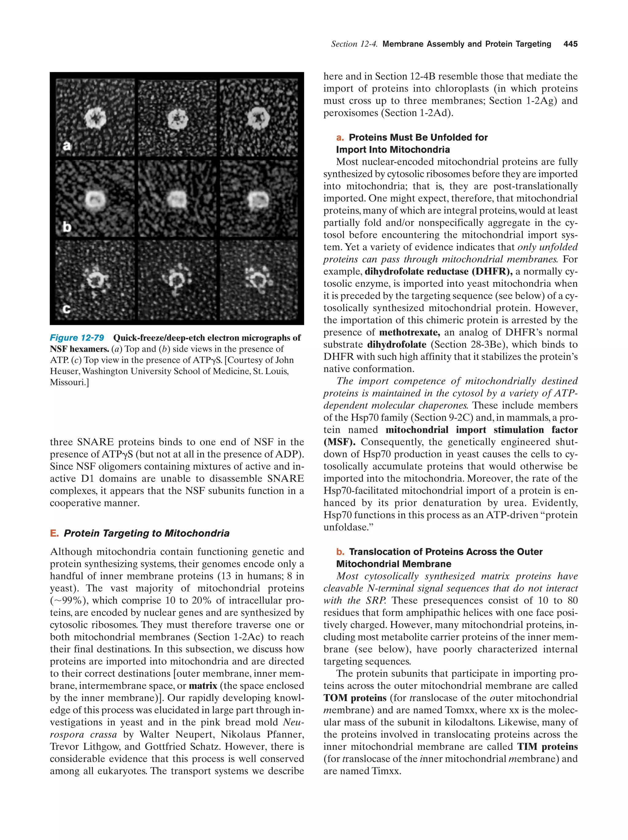 Biochemistry.4th.edition
