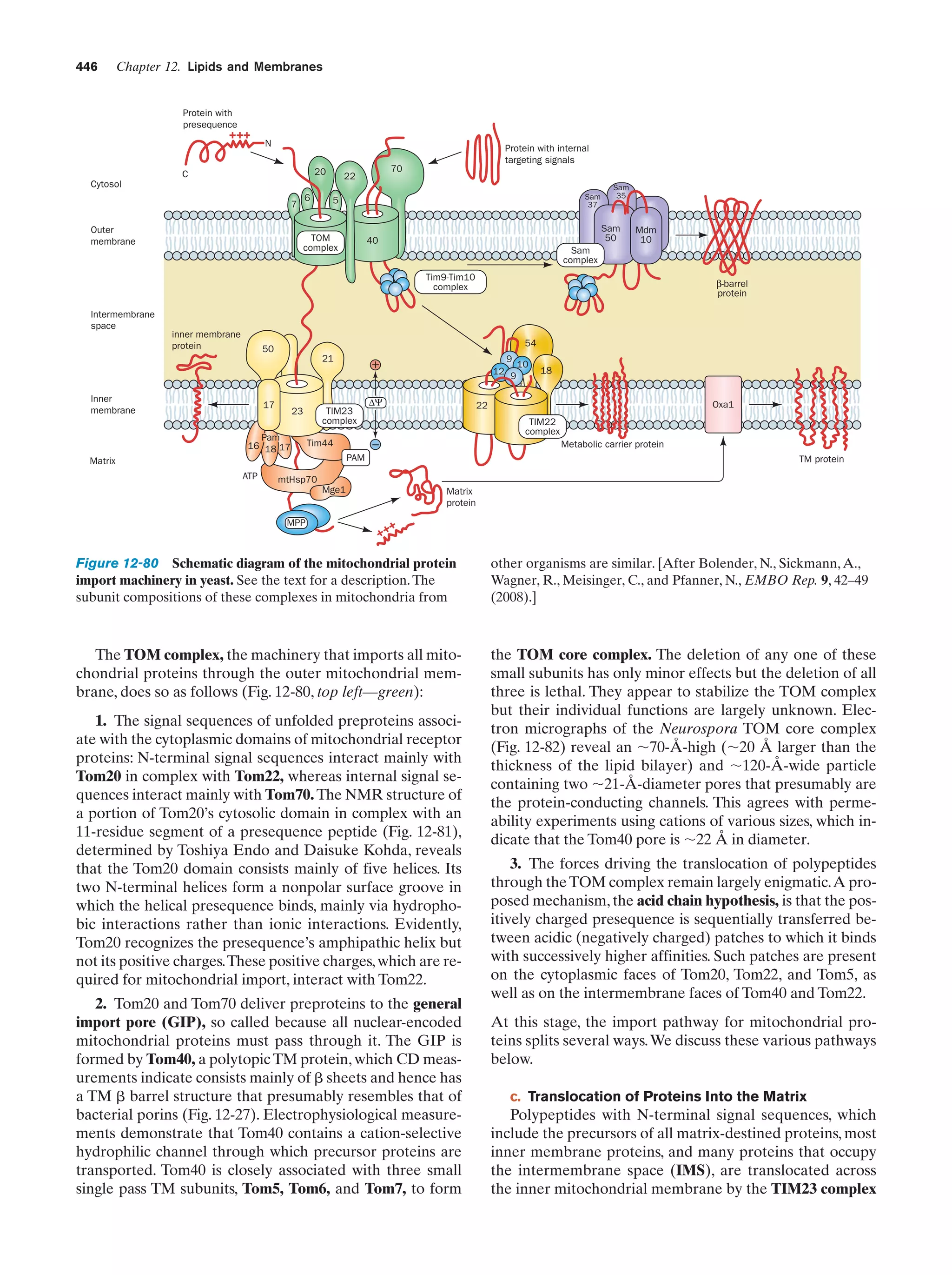 Biochemistry.4th.edition