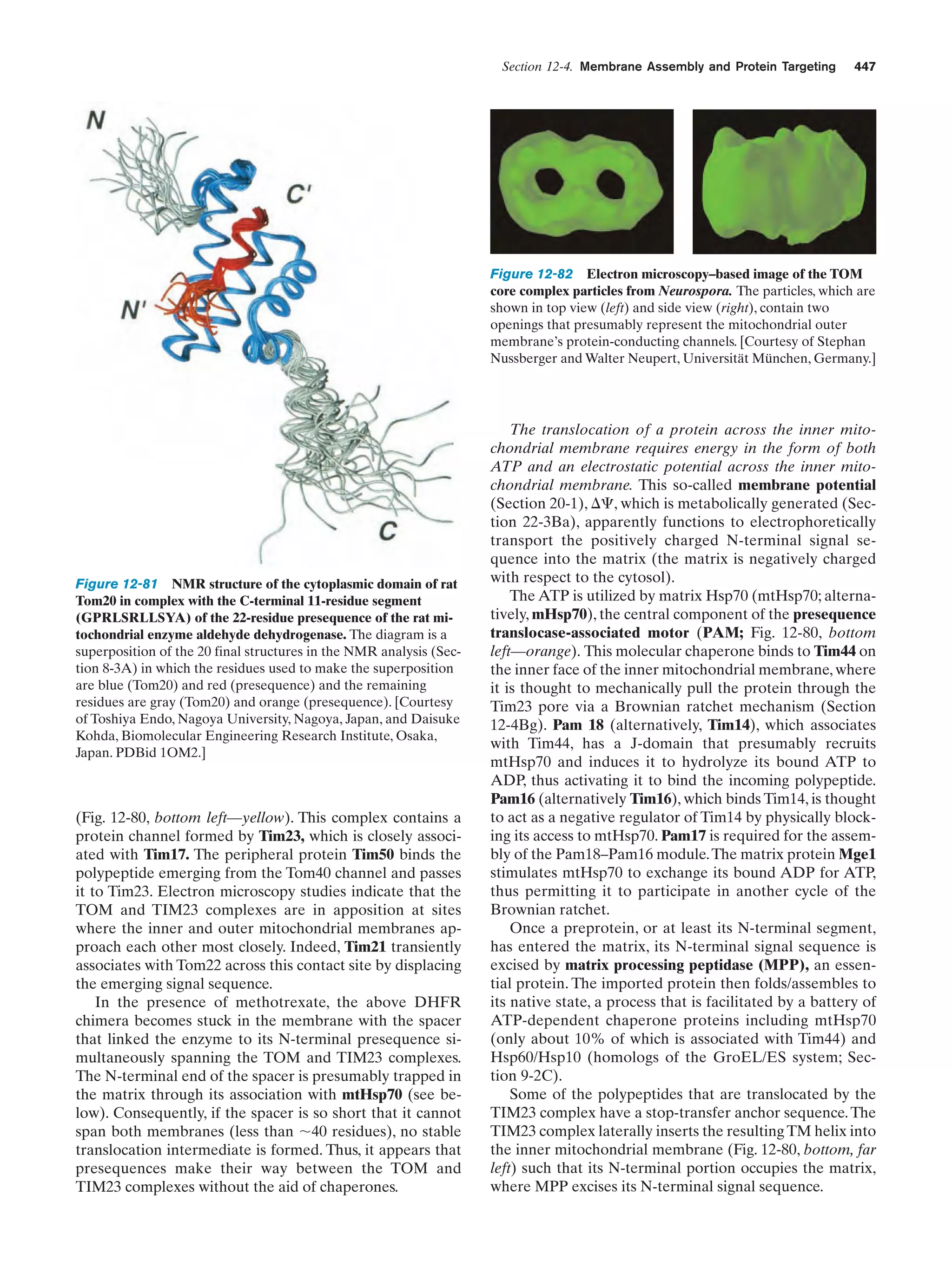 Biochemistry.4th.edition