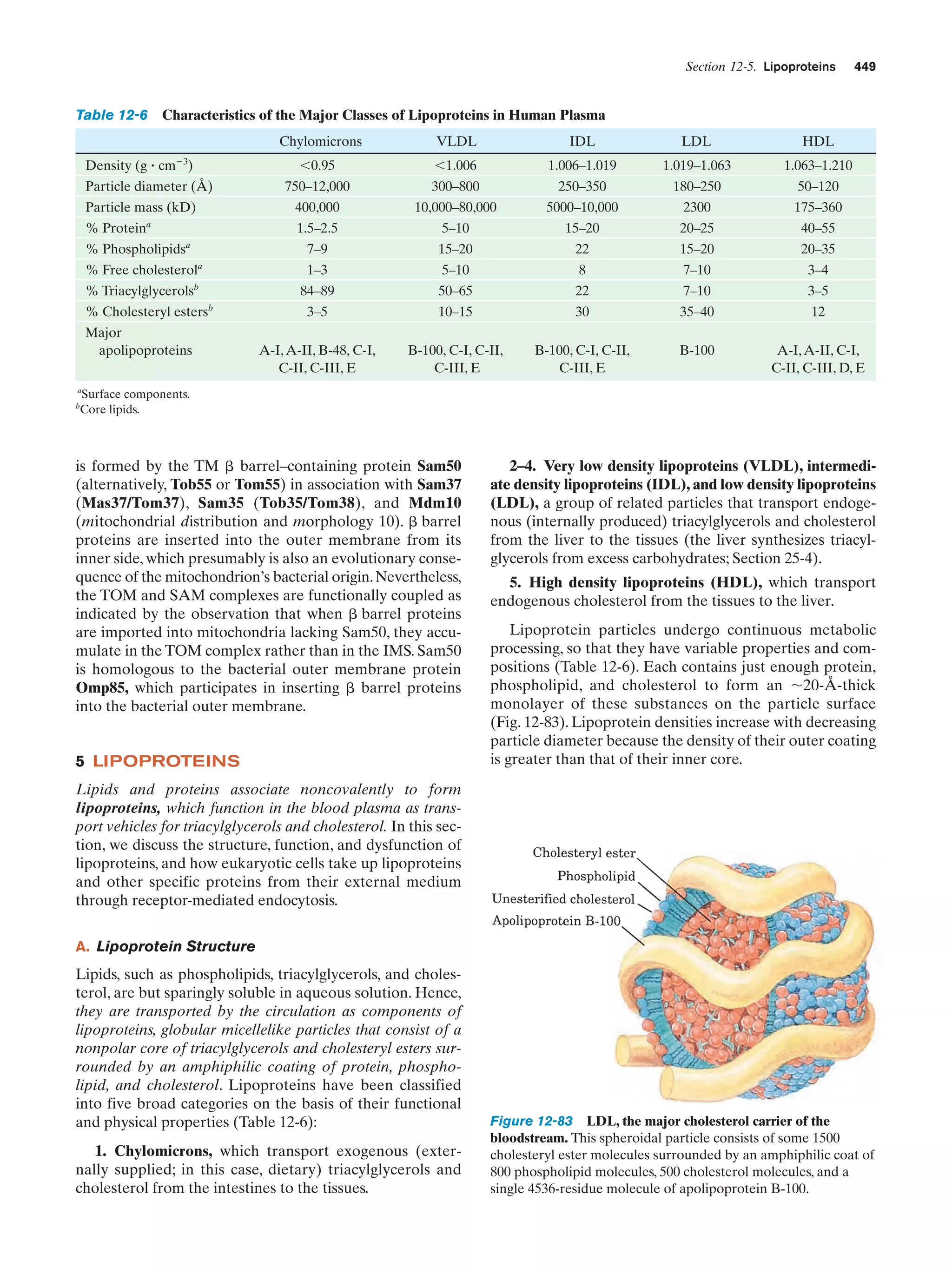 Biochemistry.4th.edition