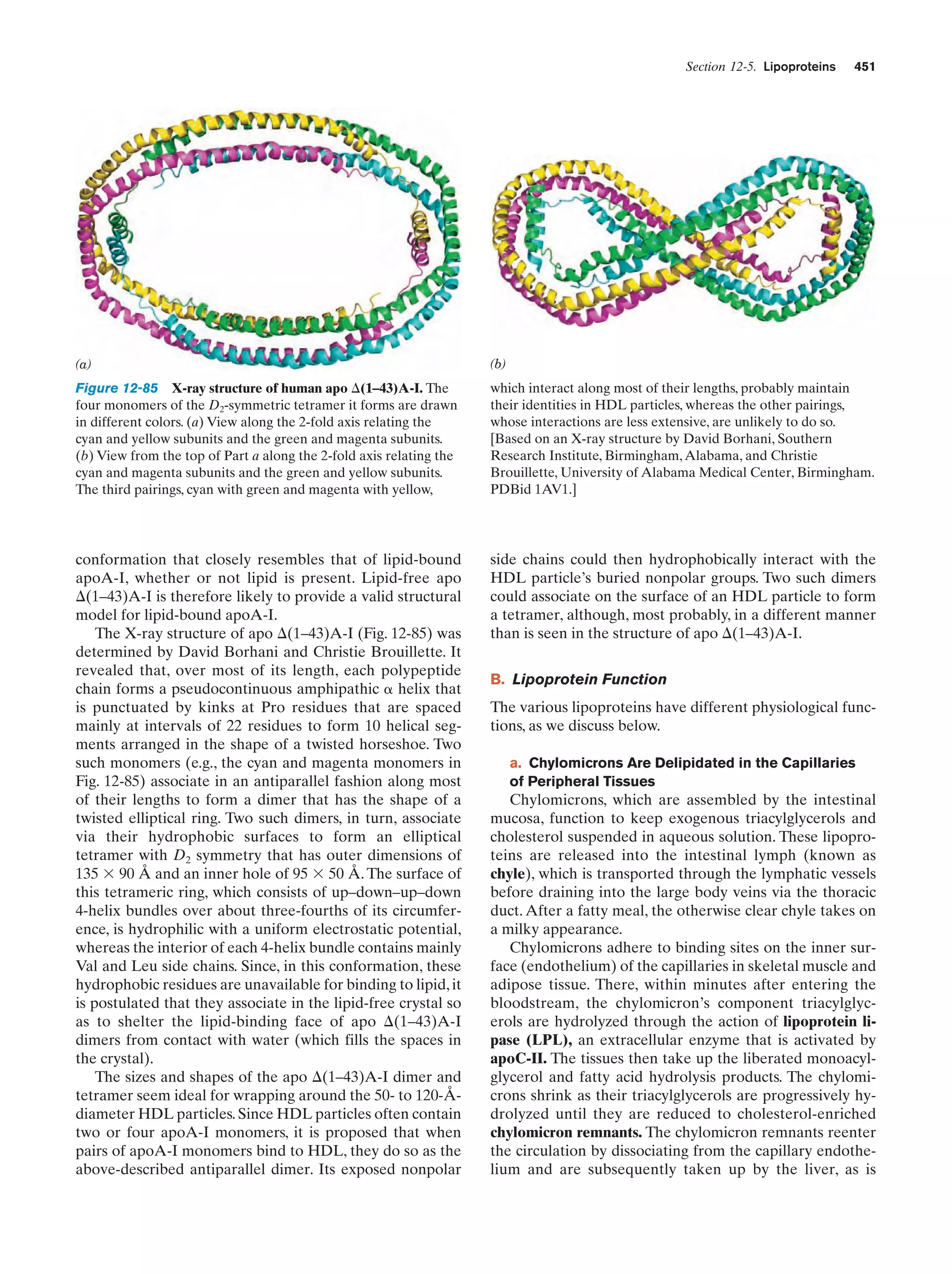 Biochemistry.4th.edition