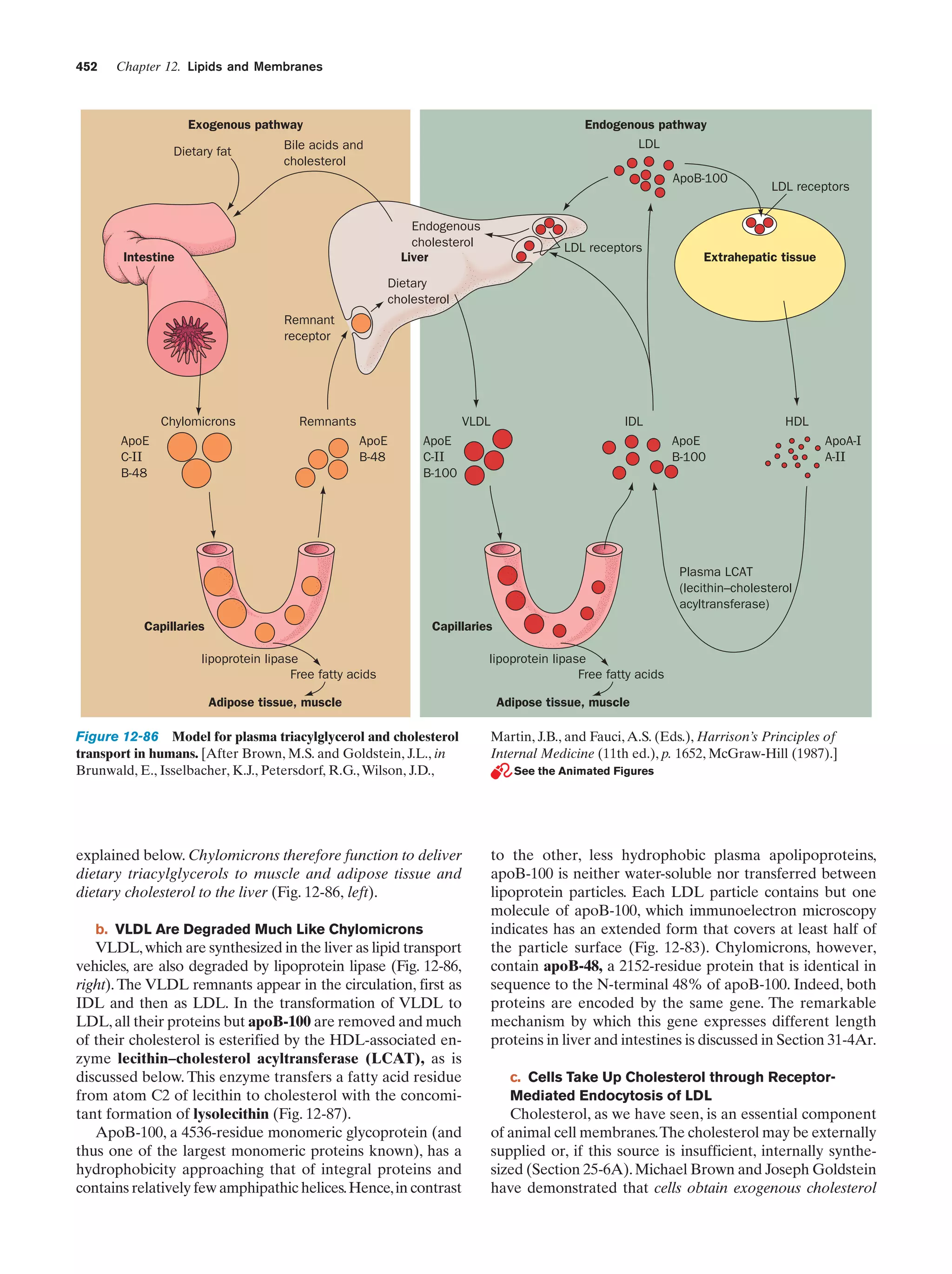 Biochemistry.4th.edition