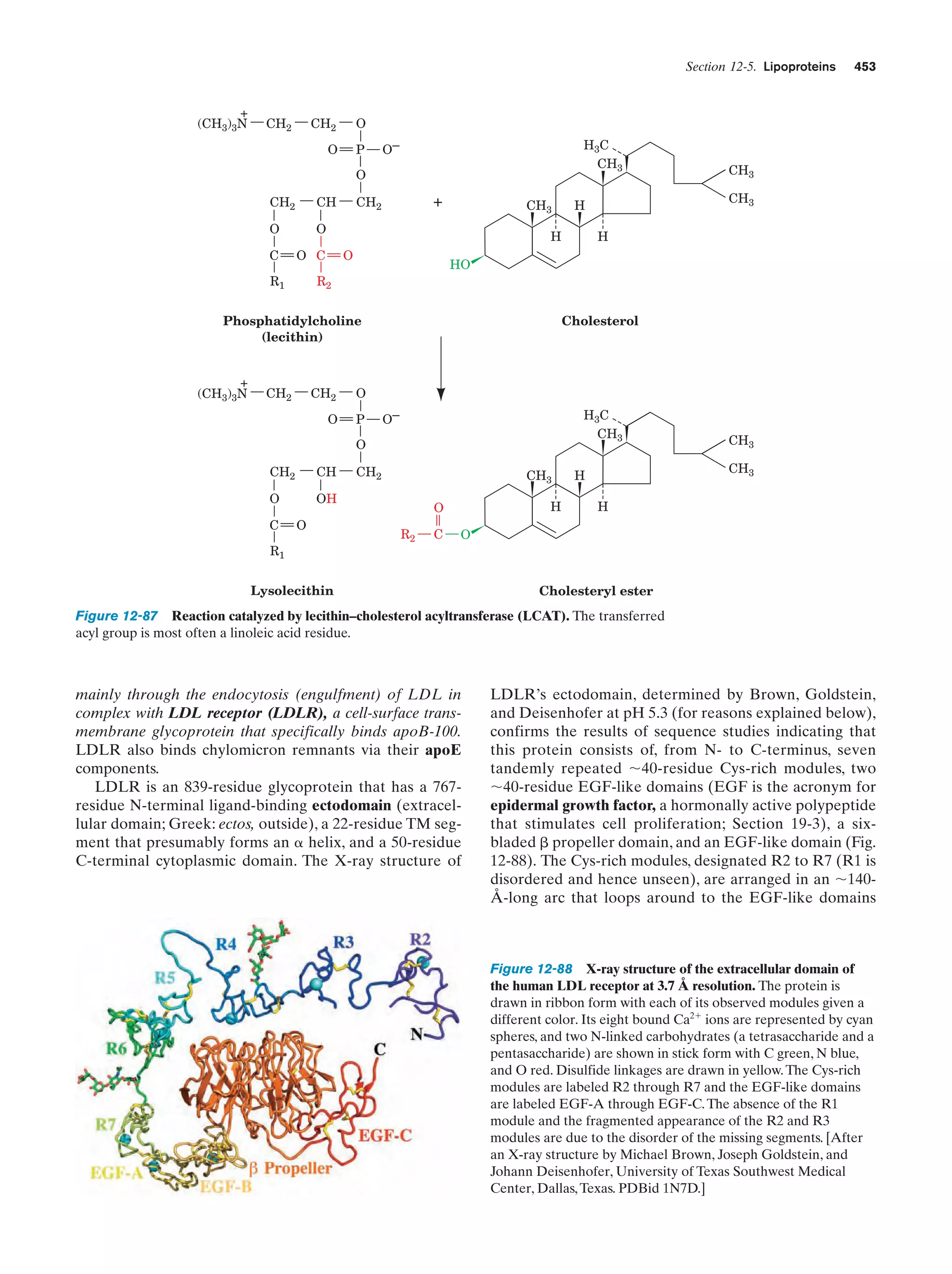 Biochemistry.4th.edition