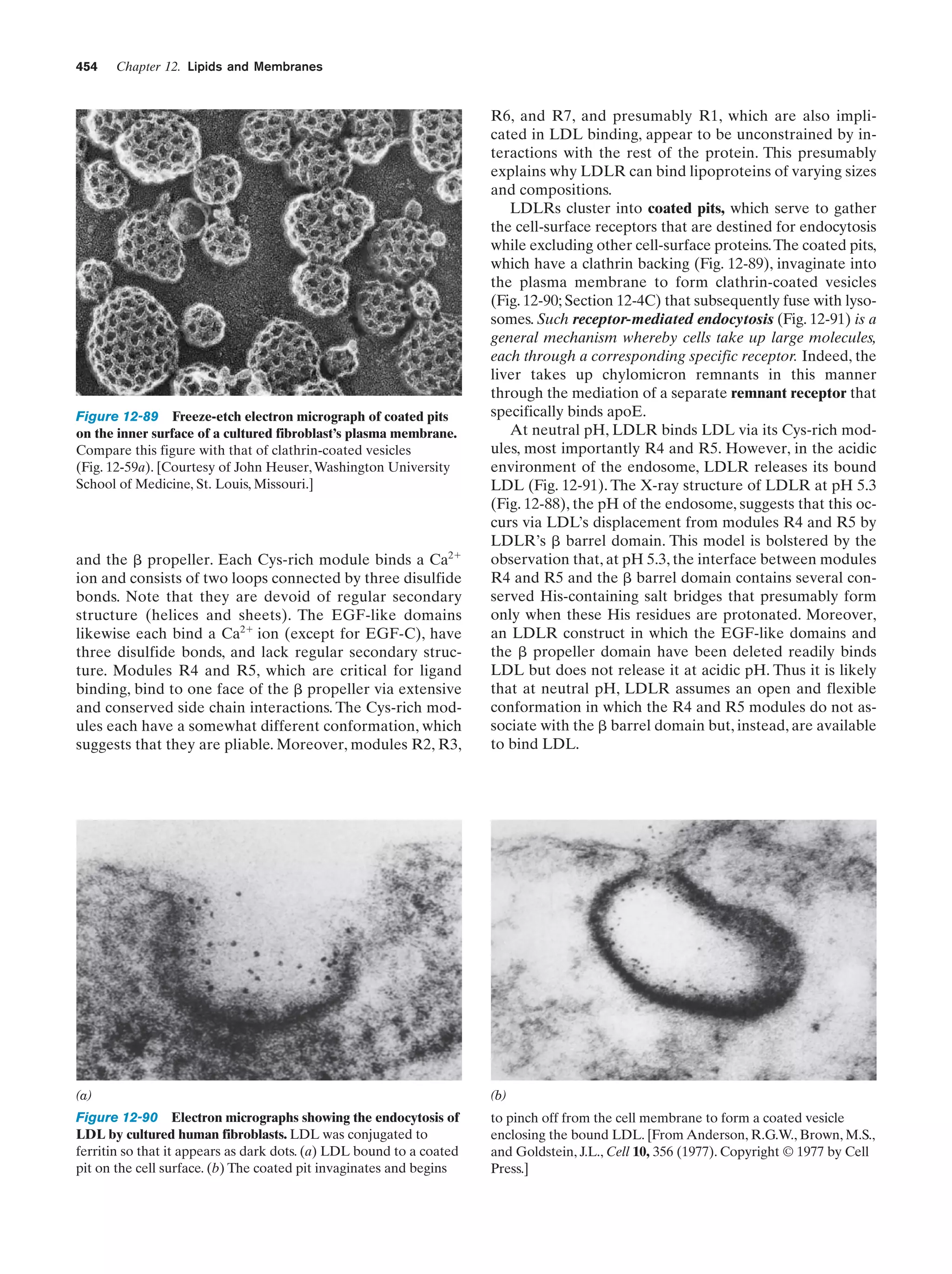 Biochemistry.4th.edition
