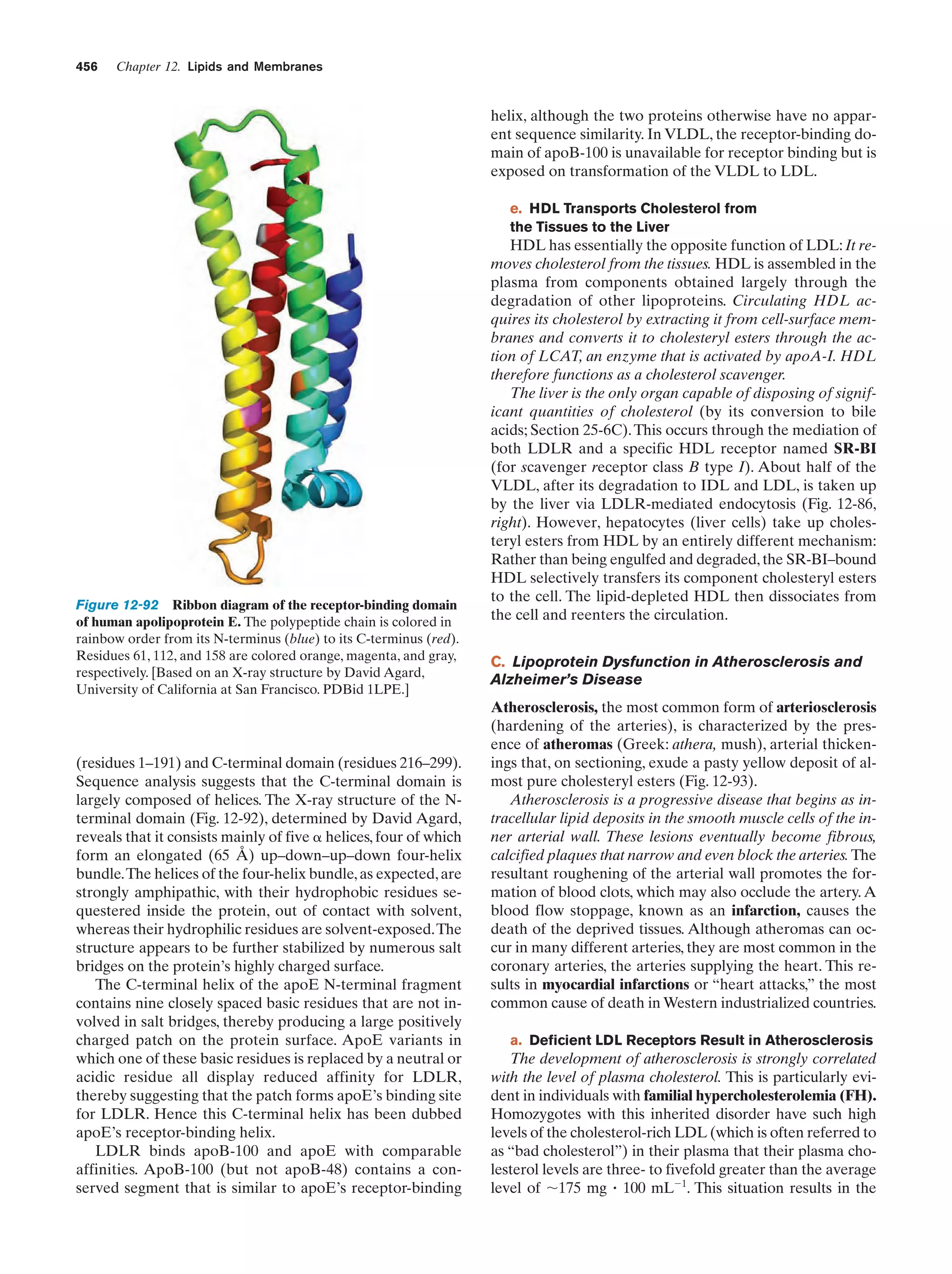 Biochemistry.4th.edition