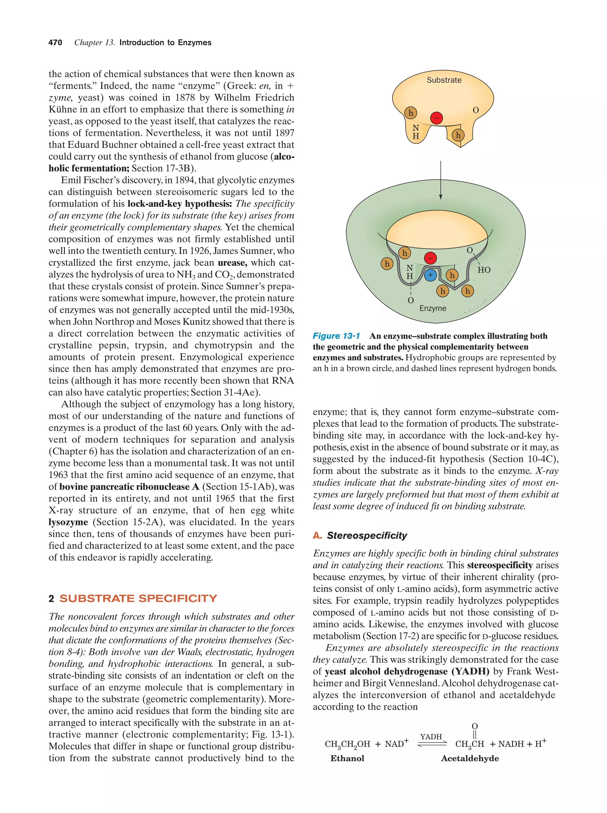 Biochemistry.4th.edition