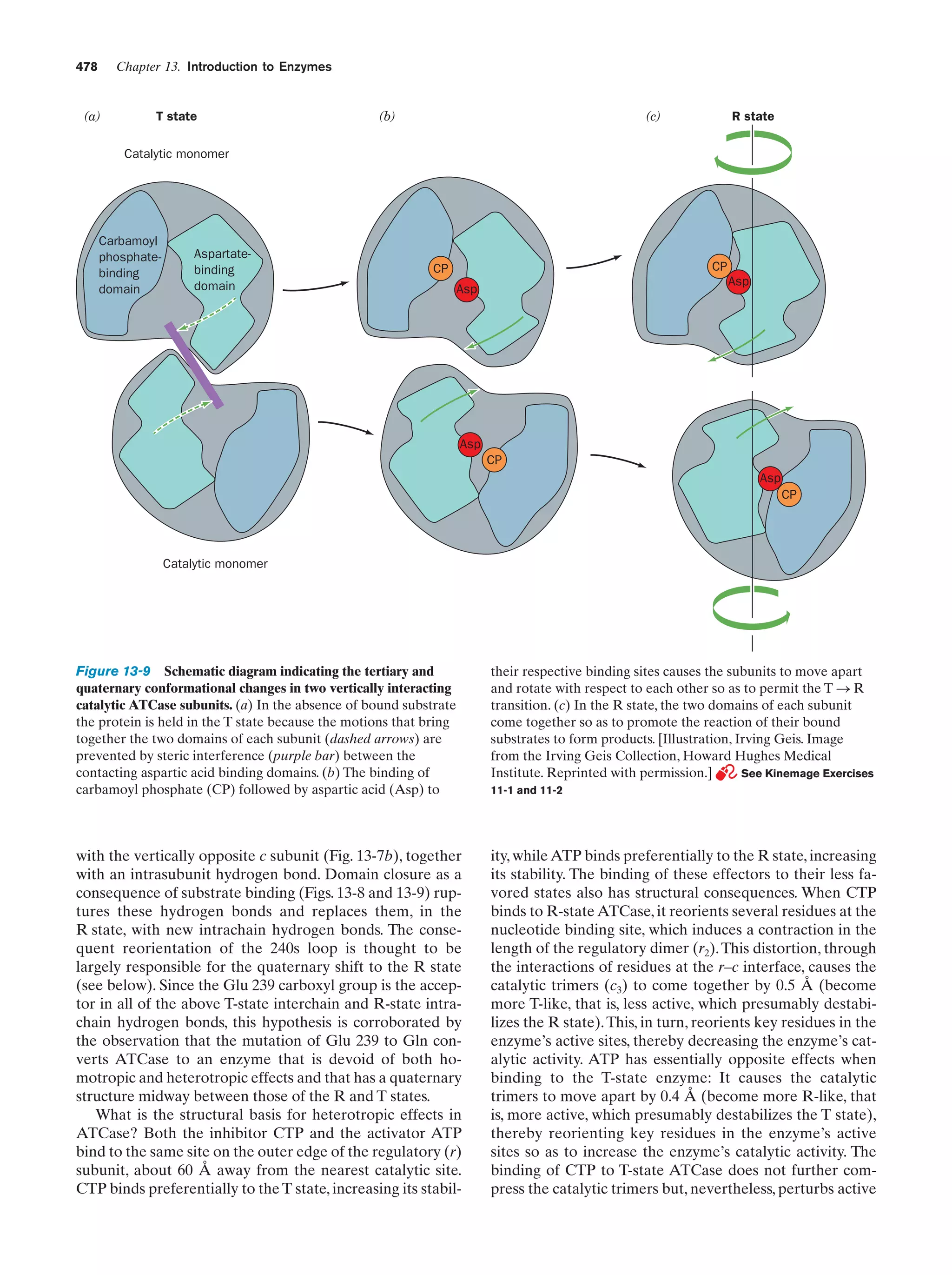 Biochemistry.4th.edition