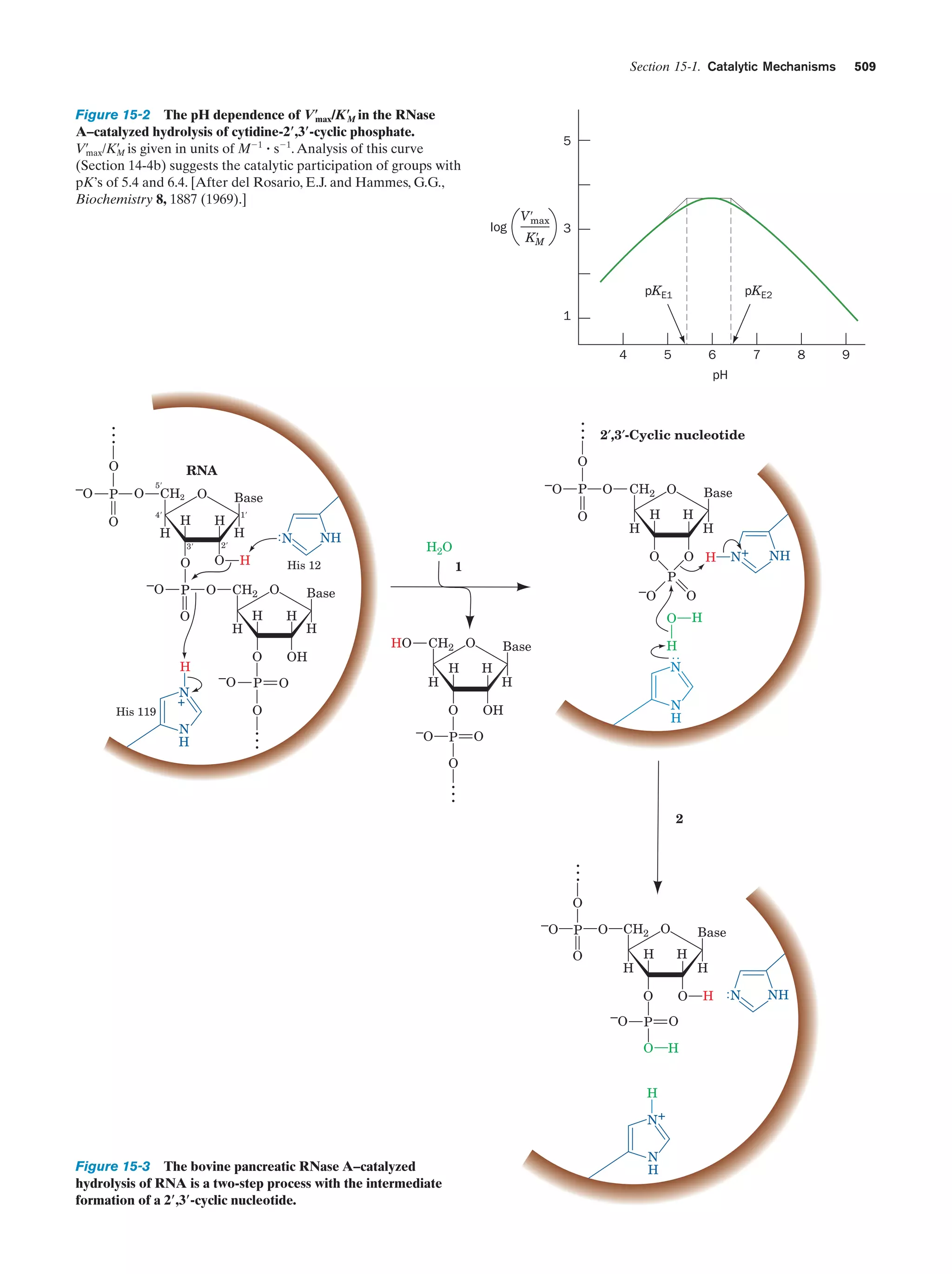Biochemistry.4th.edition