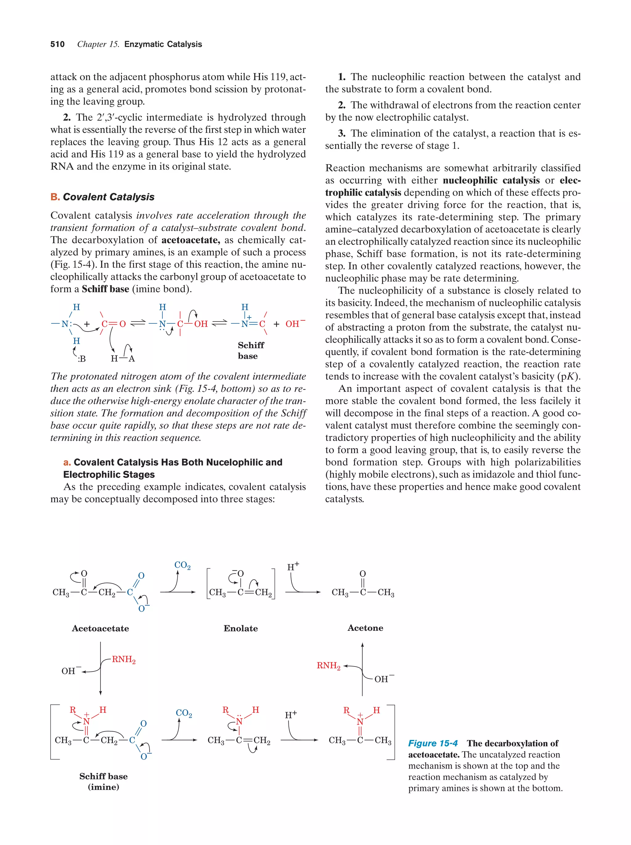 Biochemistry.4th.edition