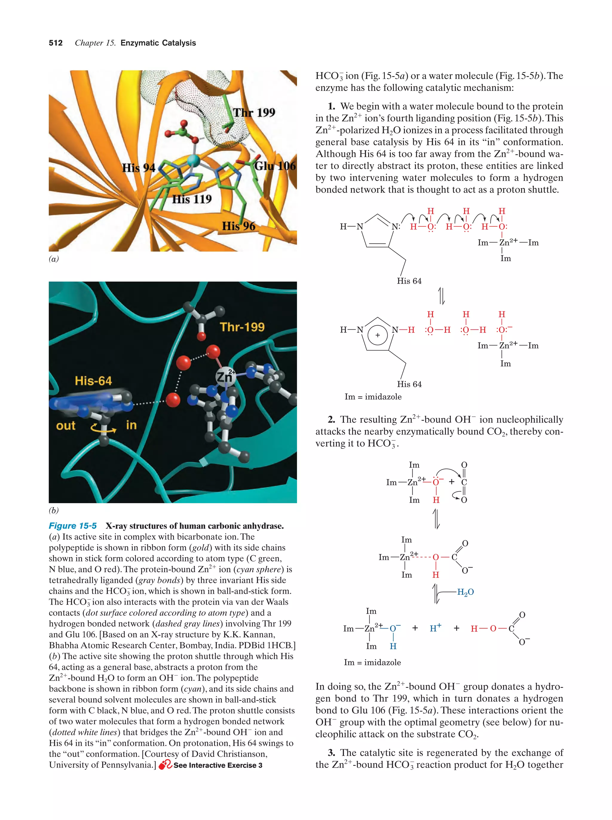 Biochemistry.4th.edition