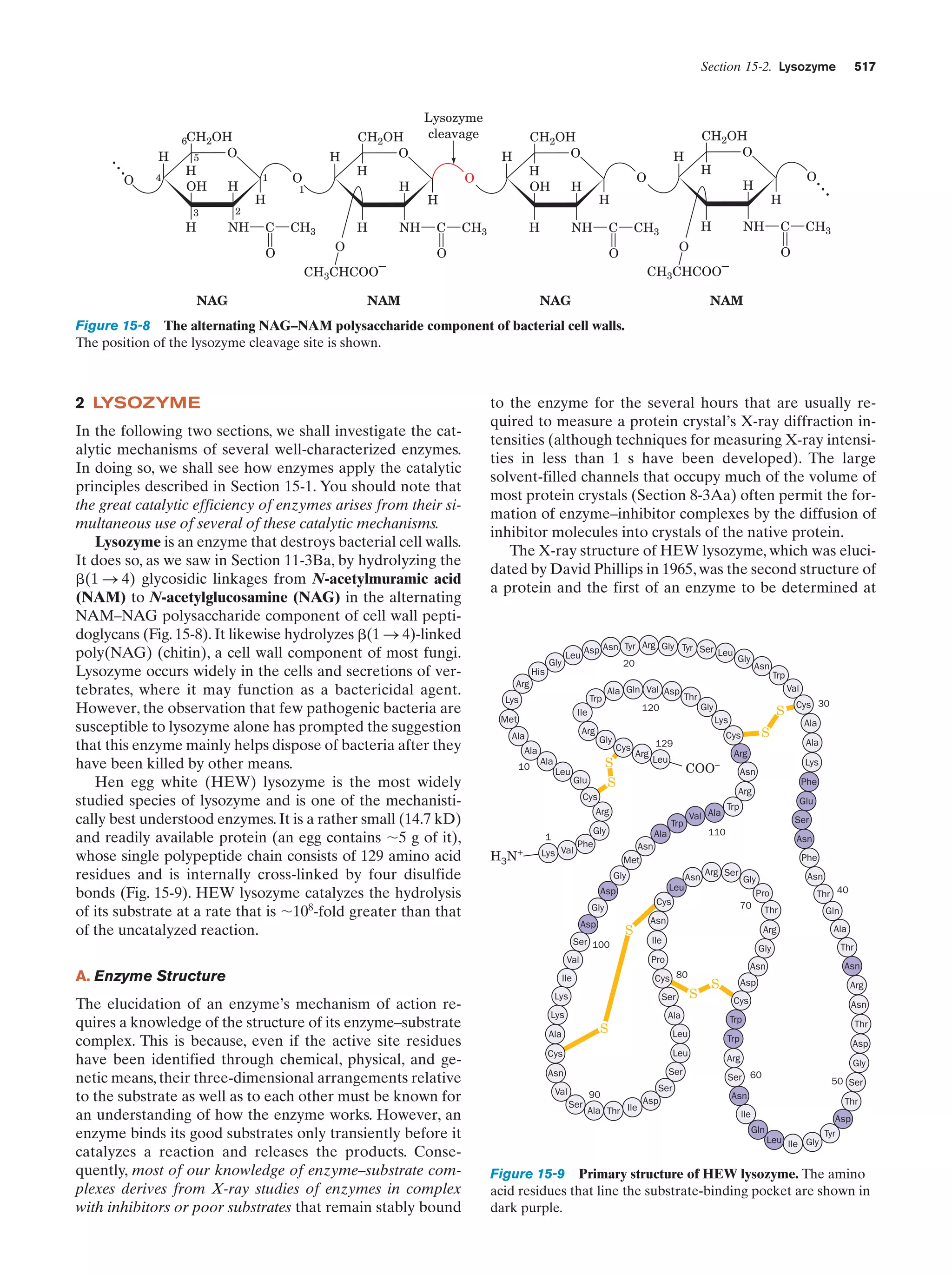 Biochemistry.4th.edition