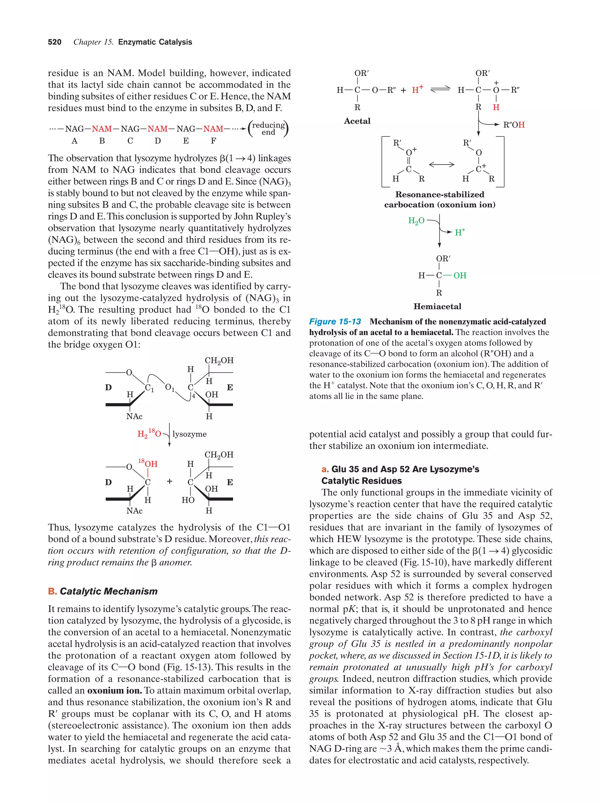 Biochemistry.4th.edition