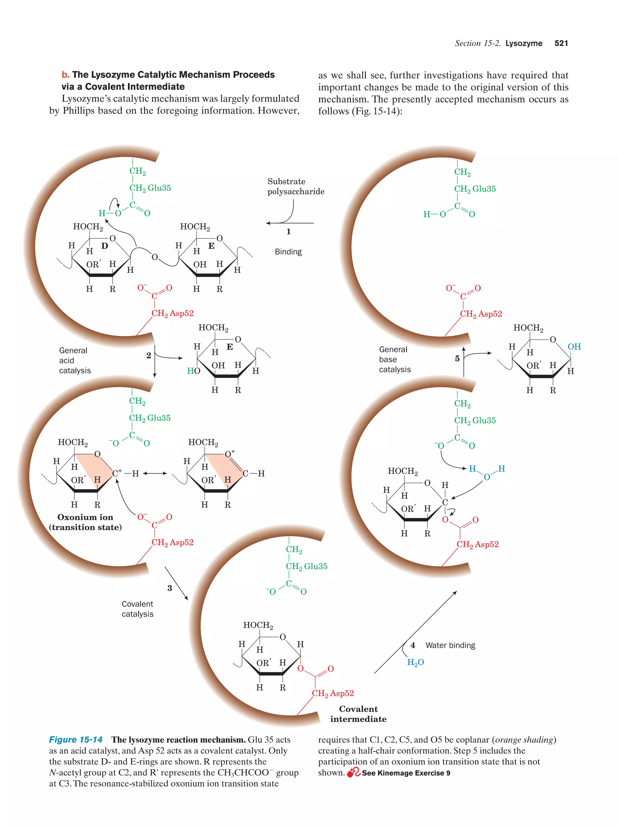Biochemistry.4th.edition