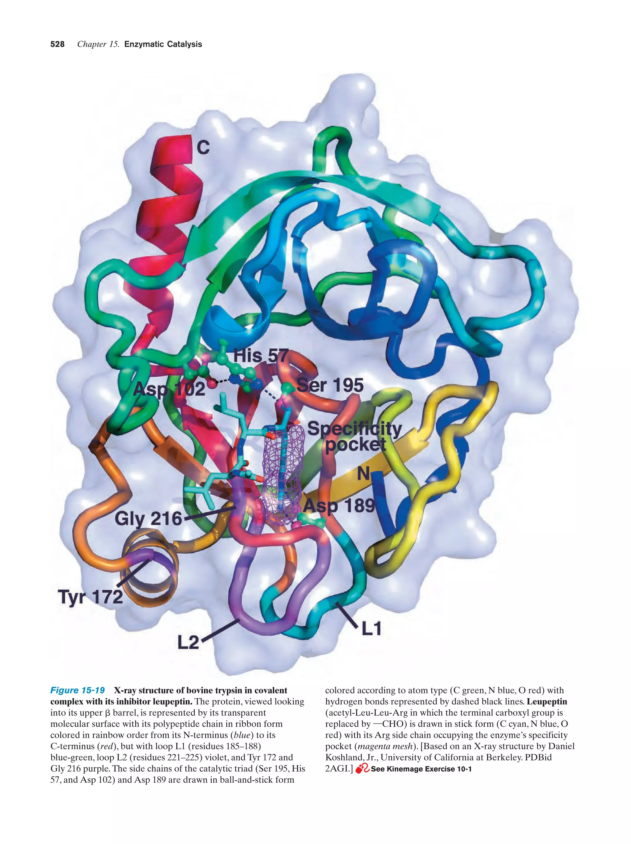 Biochemistry.4th.edition