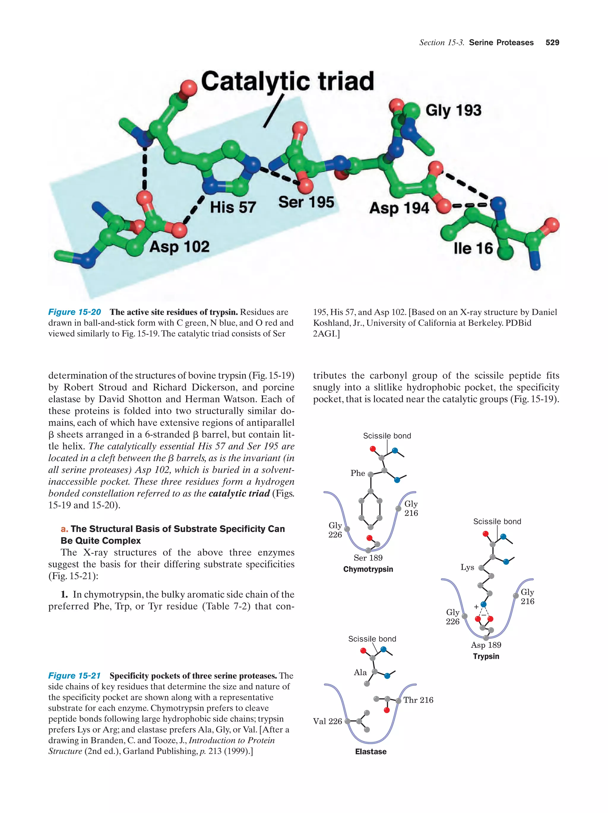 Biochemistry.4th.edition