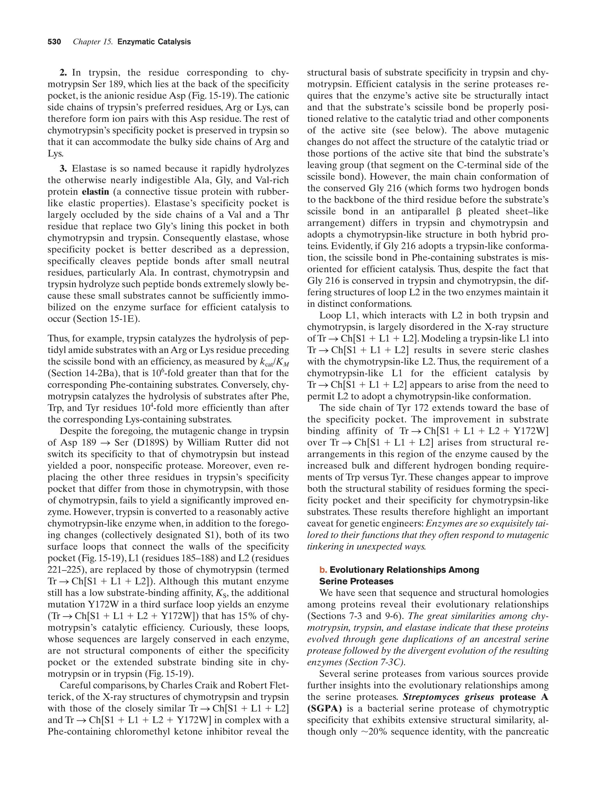 Biochemistry.4th.edition