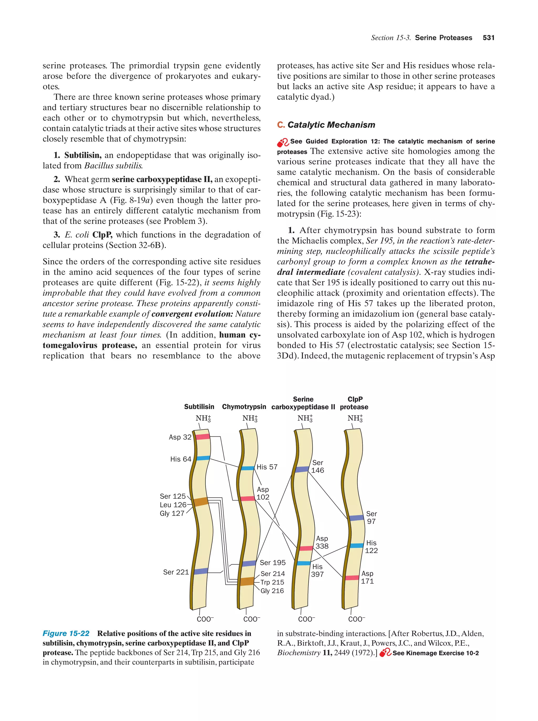 Biochemistry.4th.edition