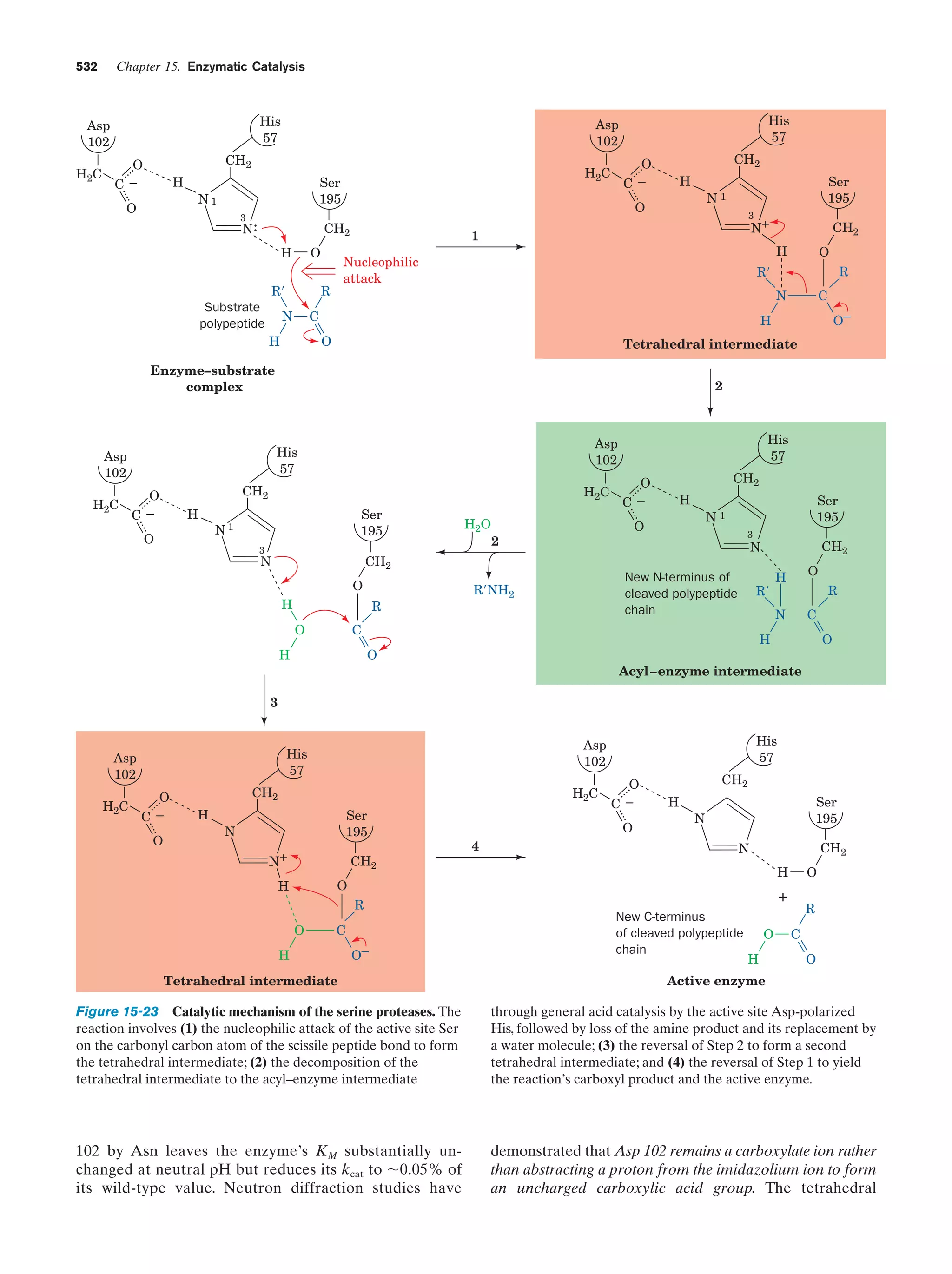 Biochemistry.4th.edition