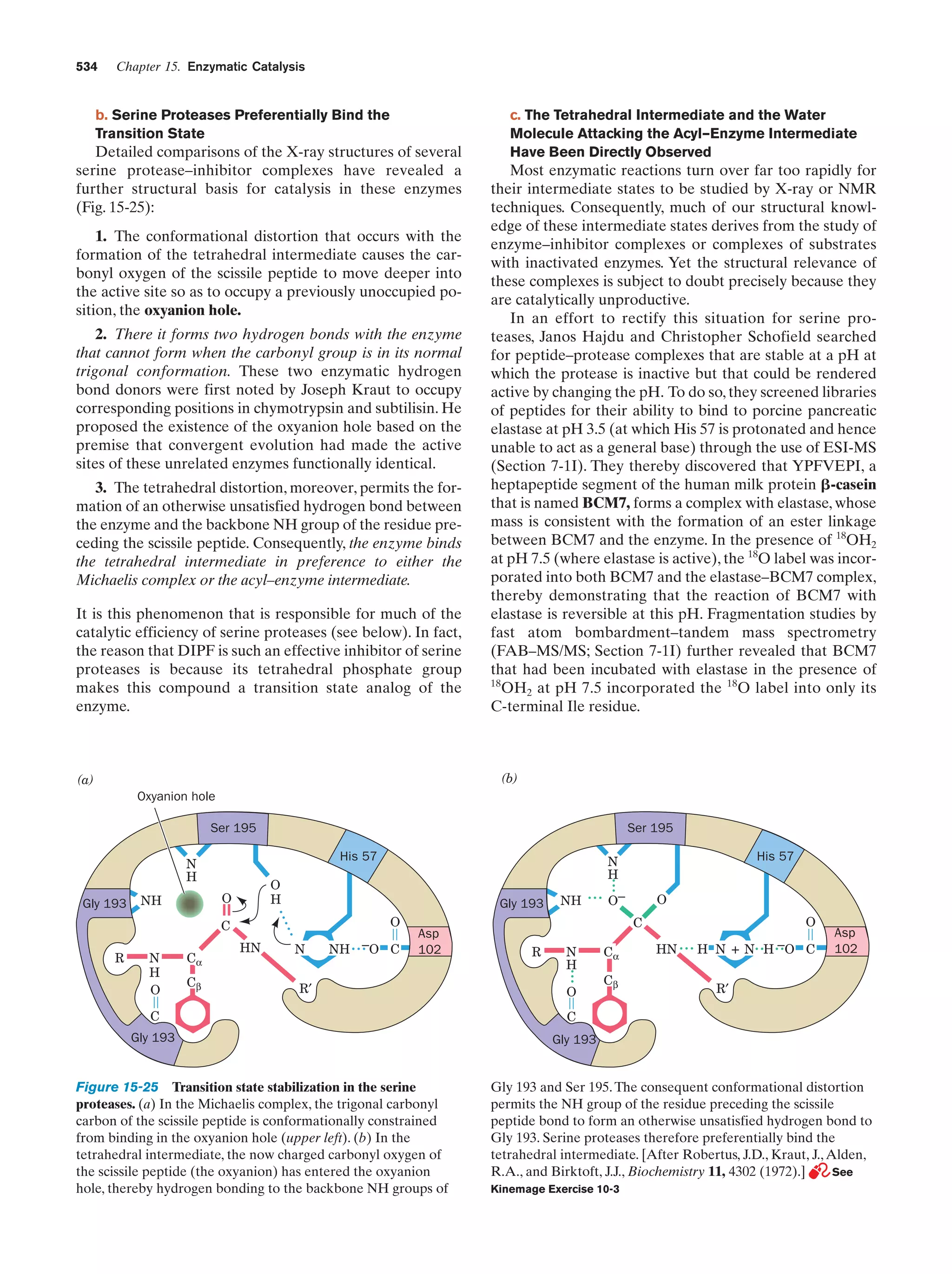 Biochemistry.4th.edition