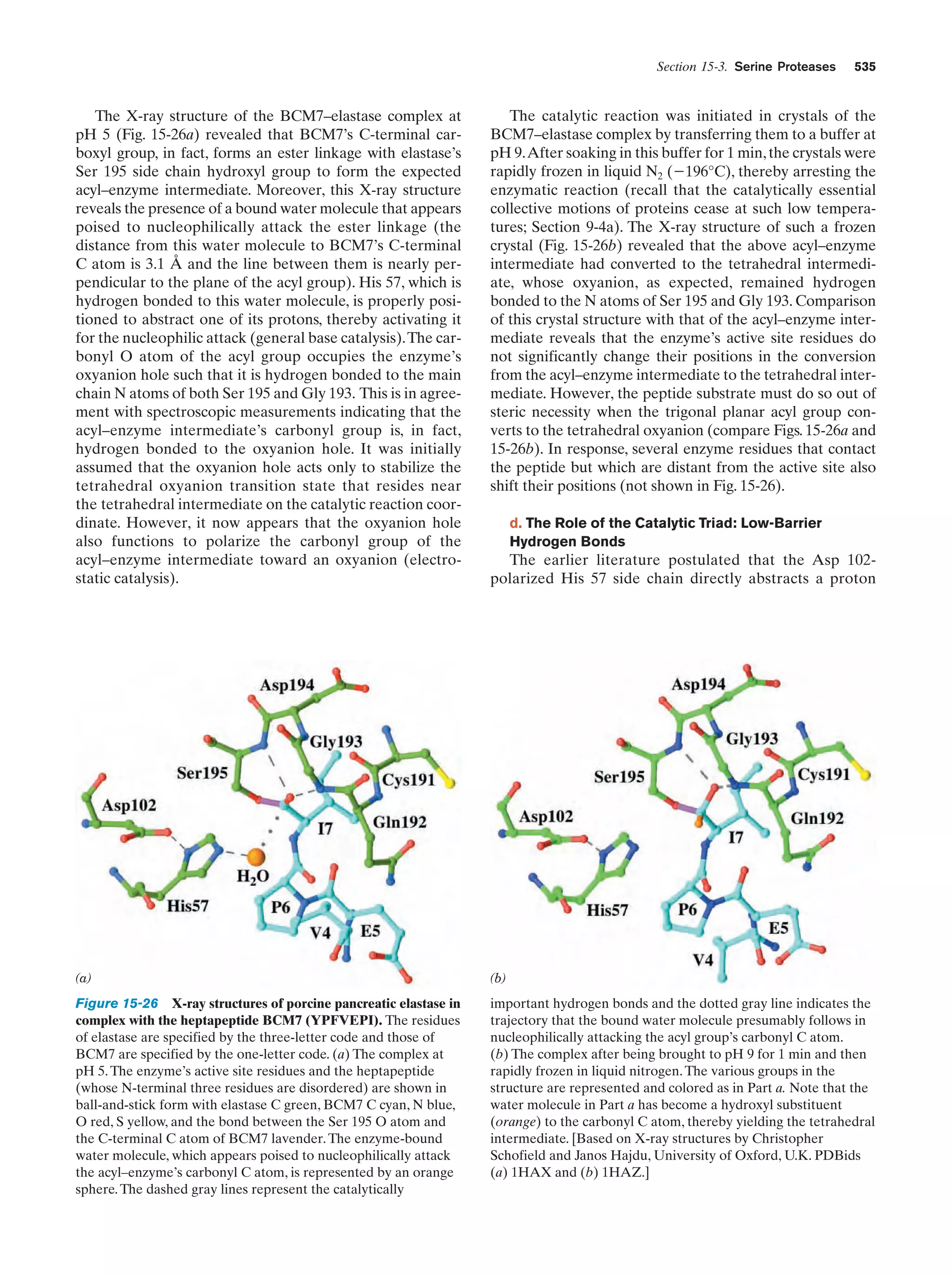 Biochemistry.4th.edition