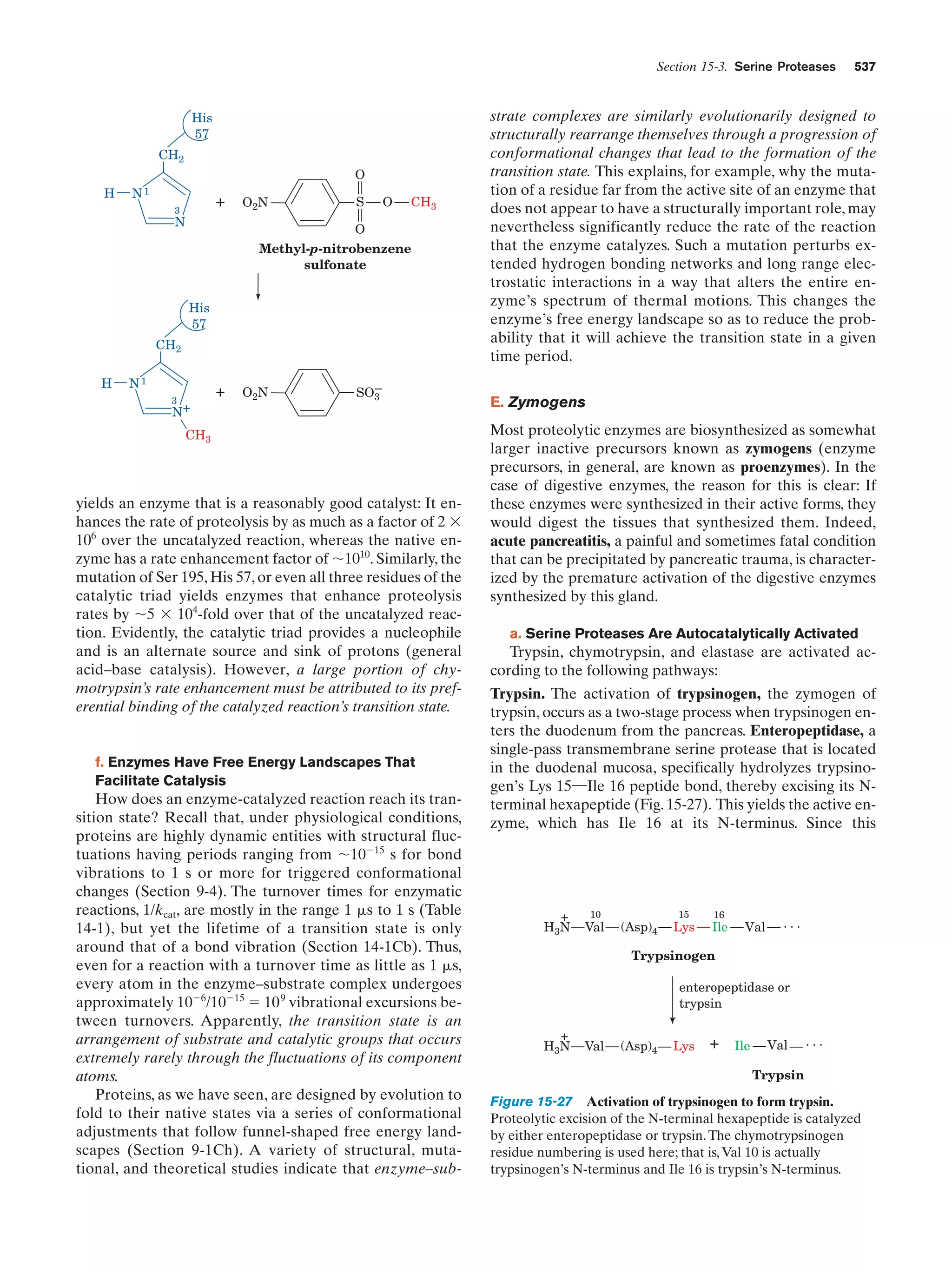 Biochemistry.4th.edition