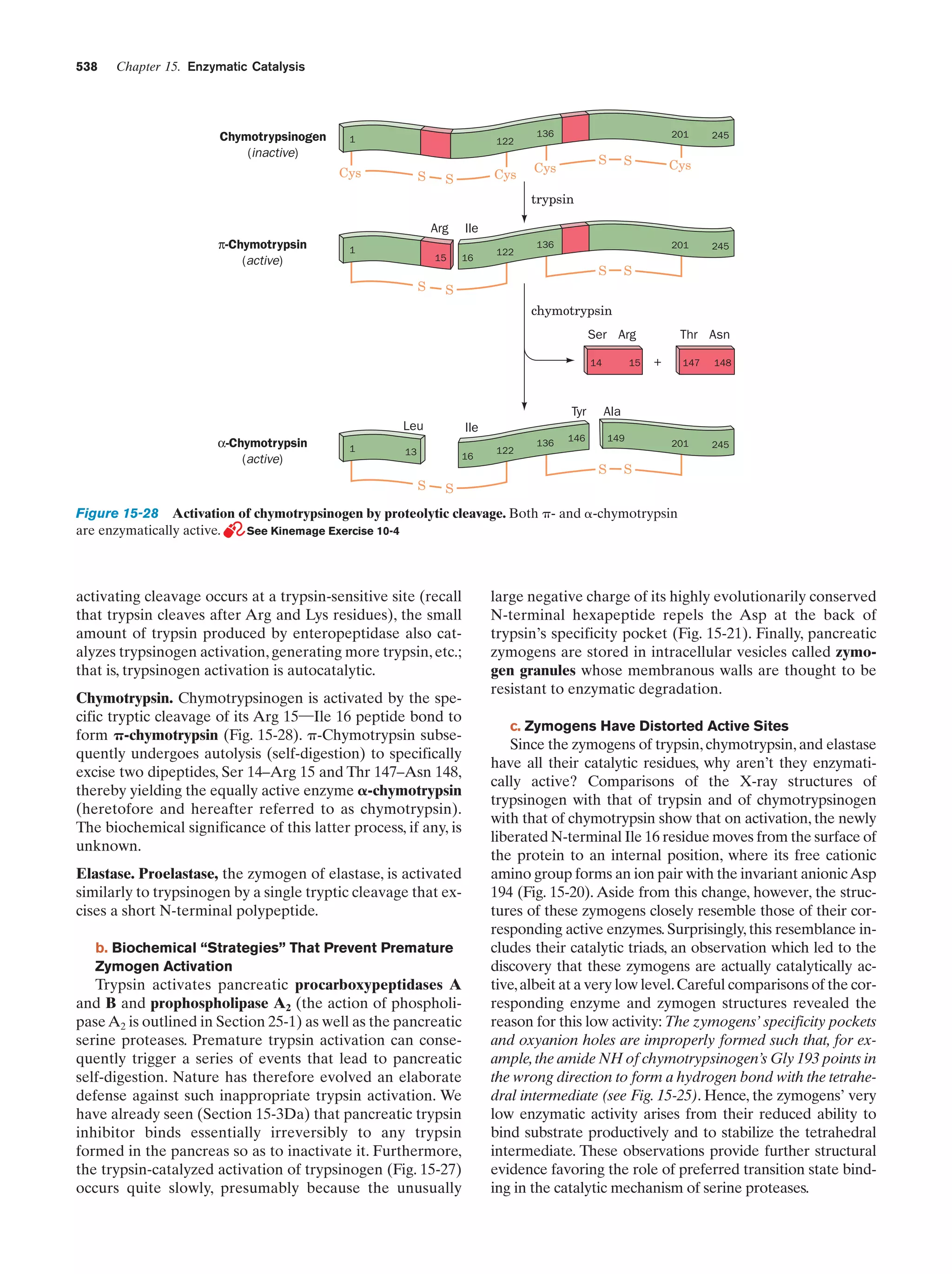 Biochemistry.4th.edition