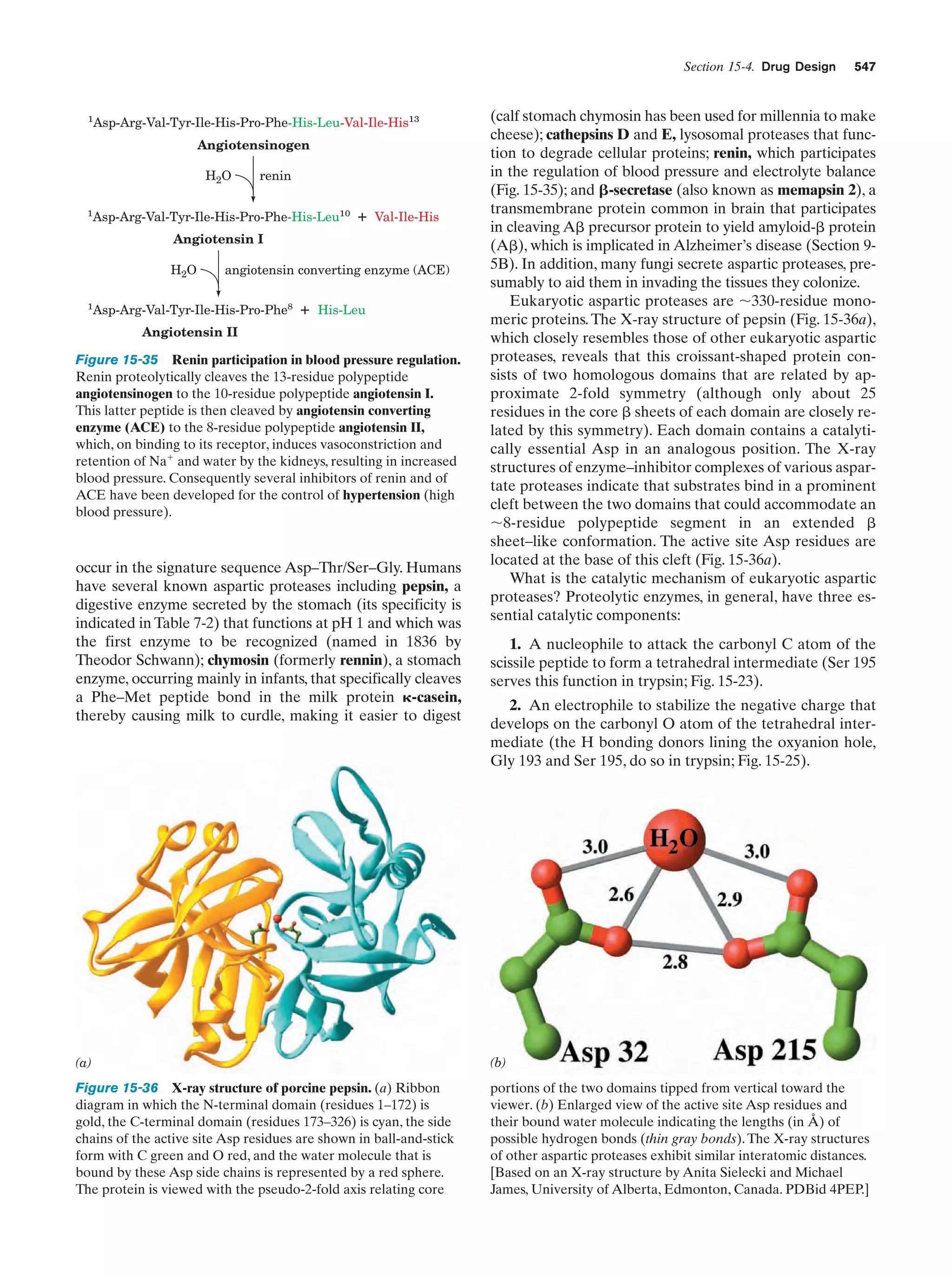 Biochemistry.4th.edition