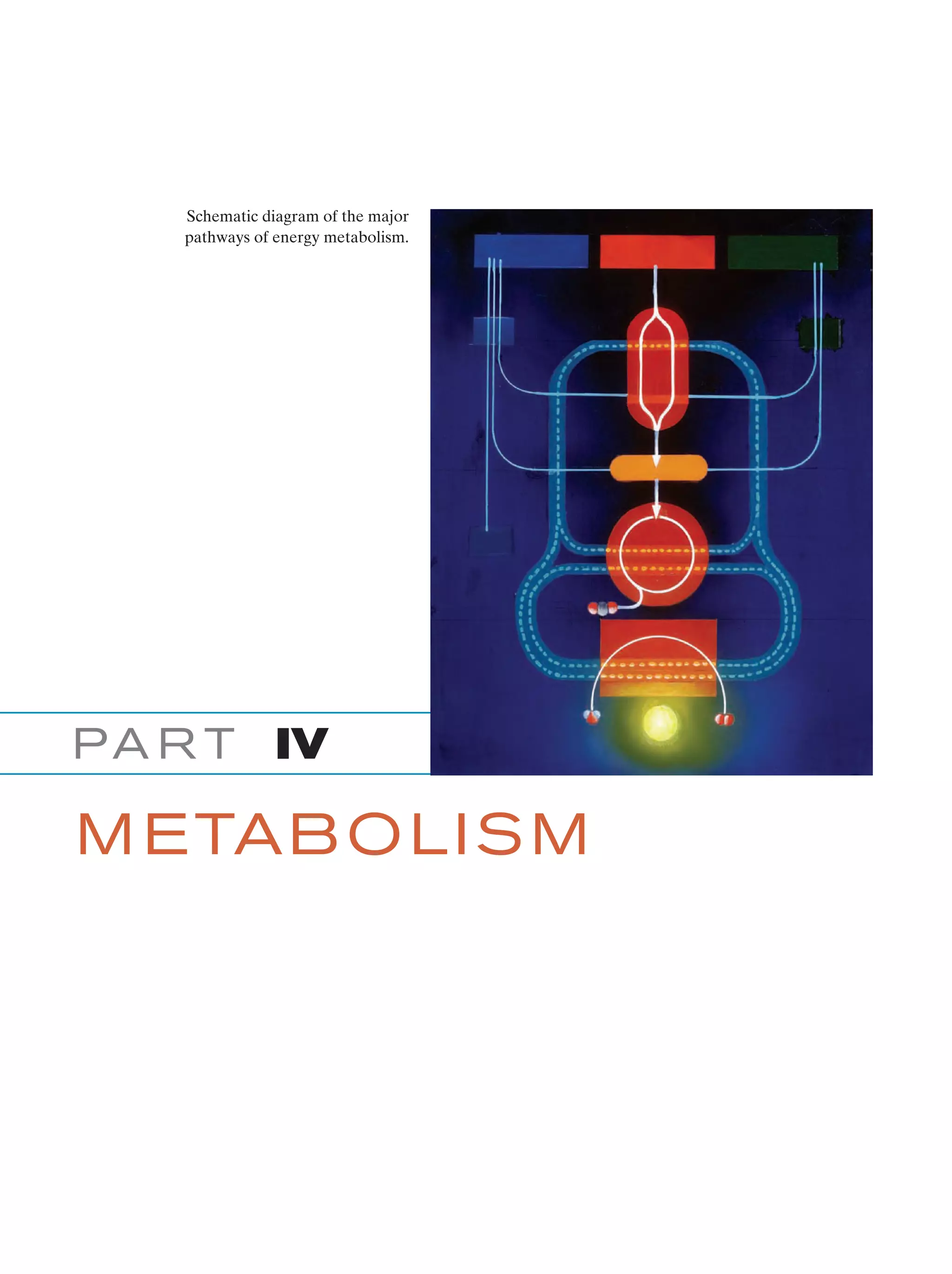 Biochemistry.4th.edition