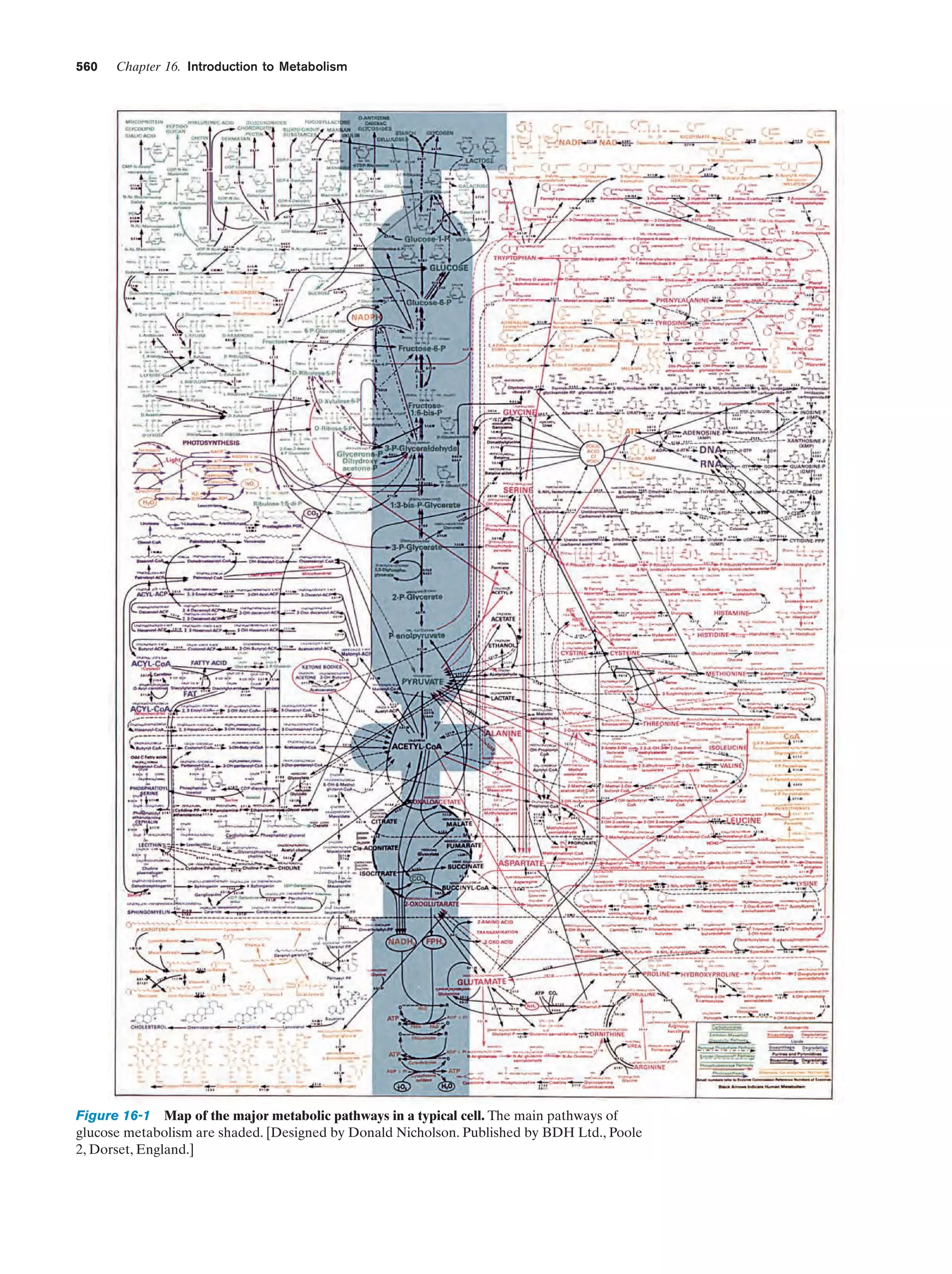 Biochemistry.4th.edition