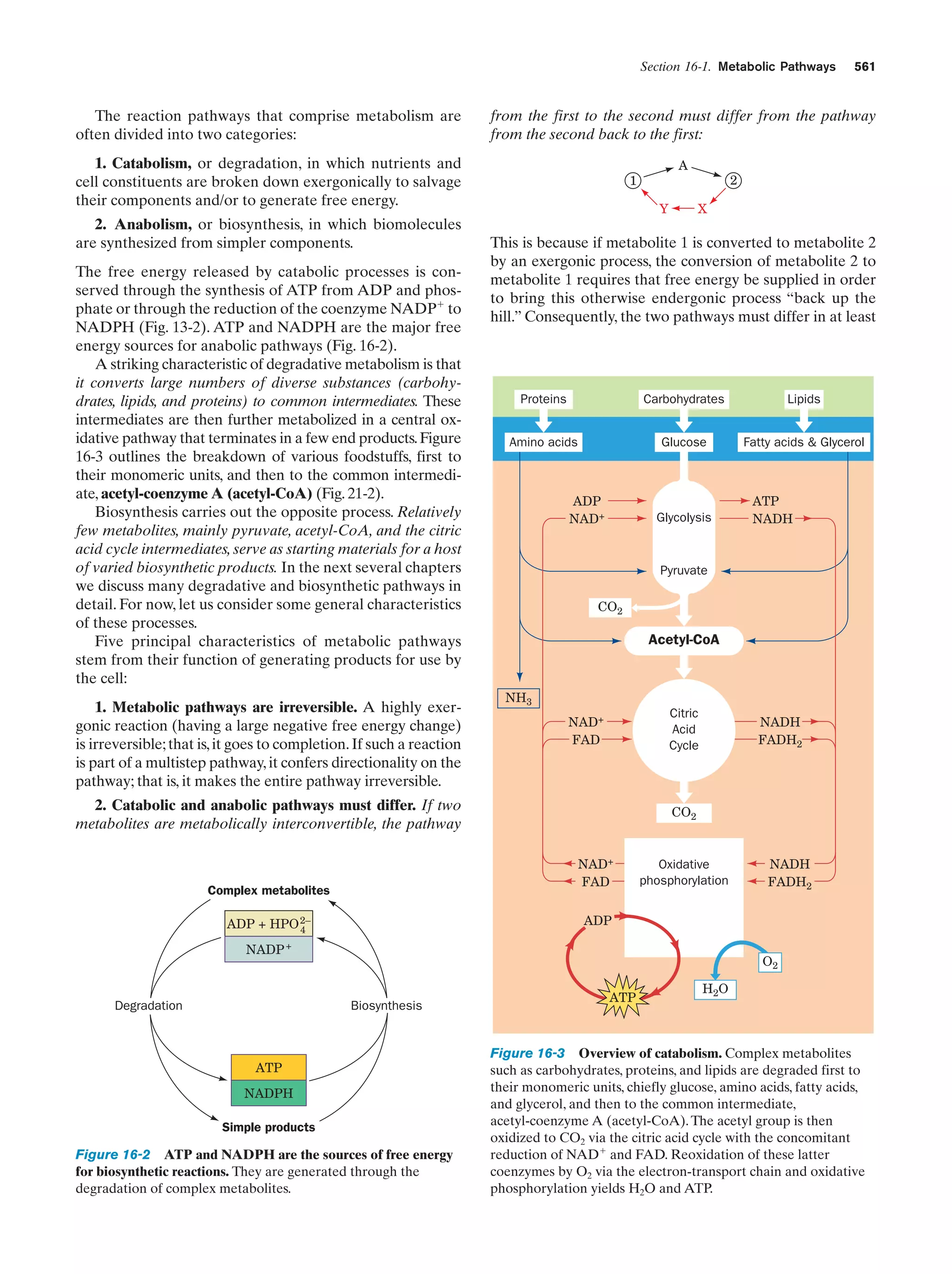 Biochemistry.4th.edition
