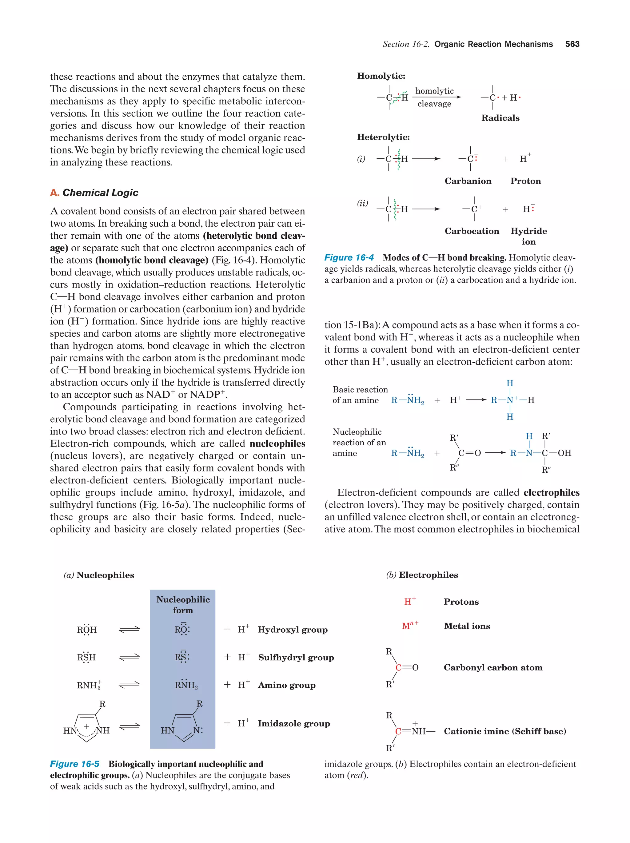 Biochemistry.4th.edition