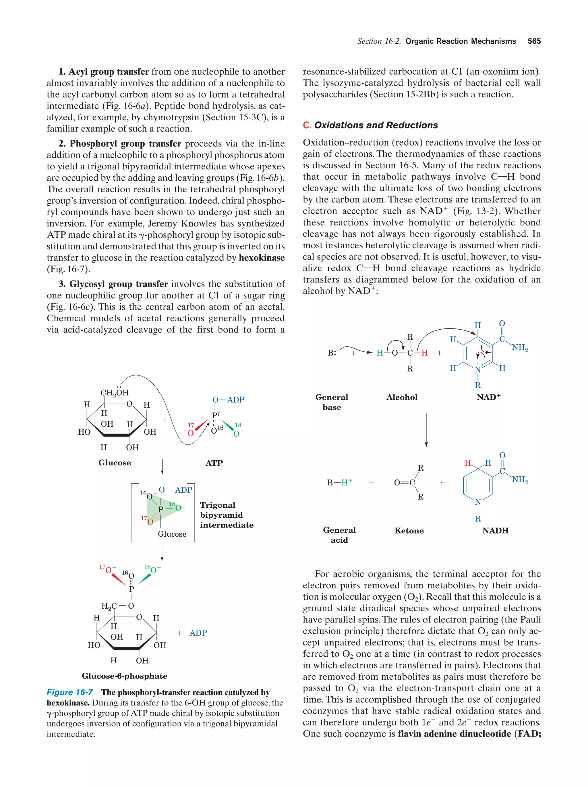 Biochemistry.4th.edition